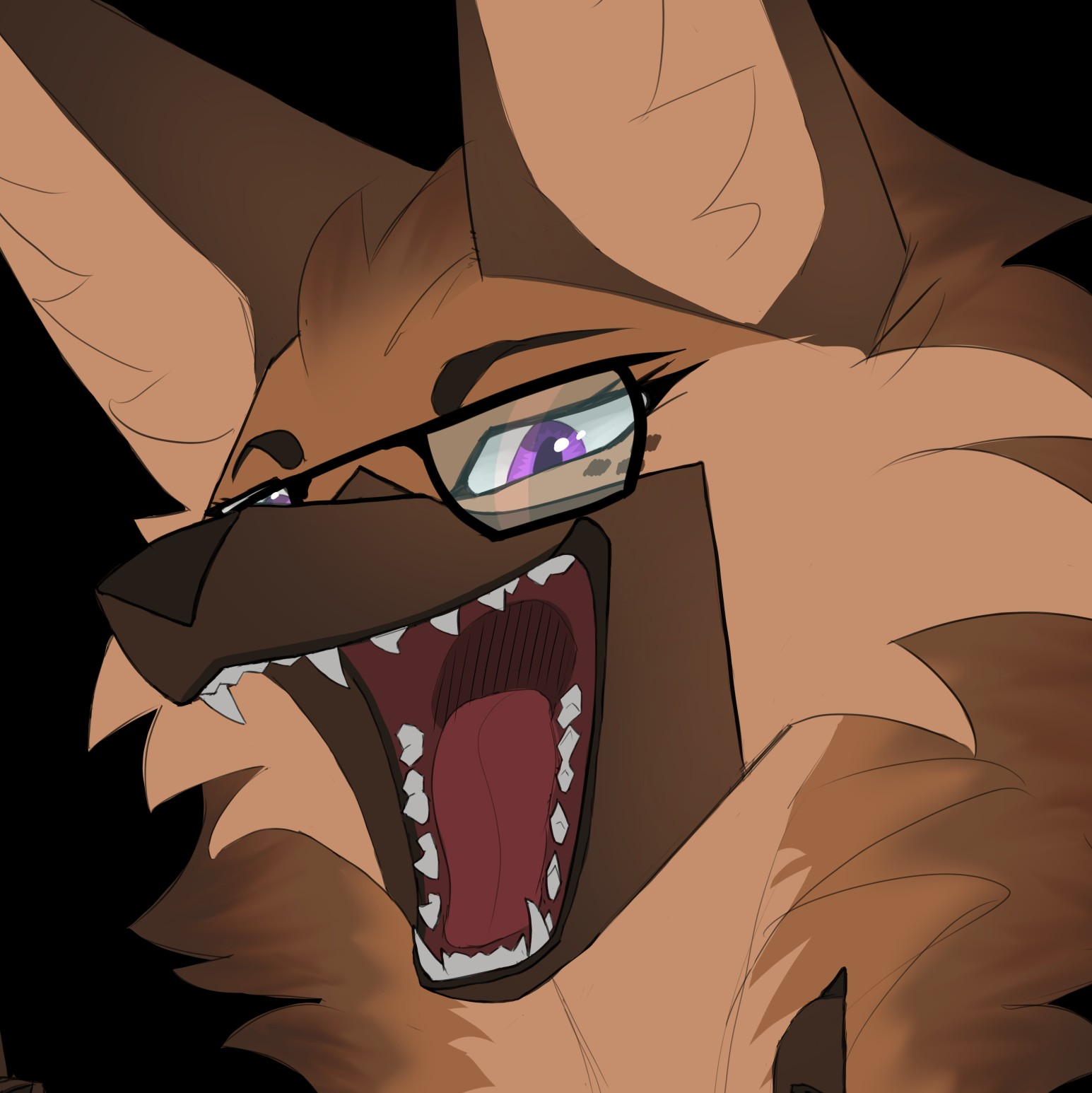 user avatar image for Korenav