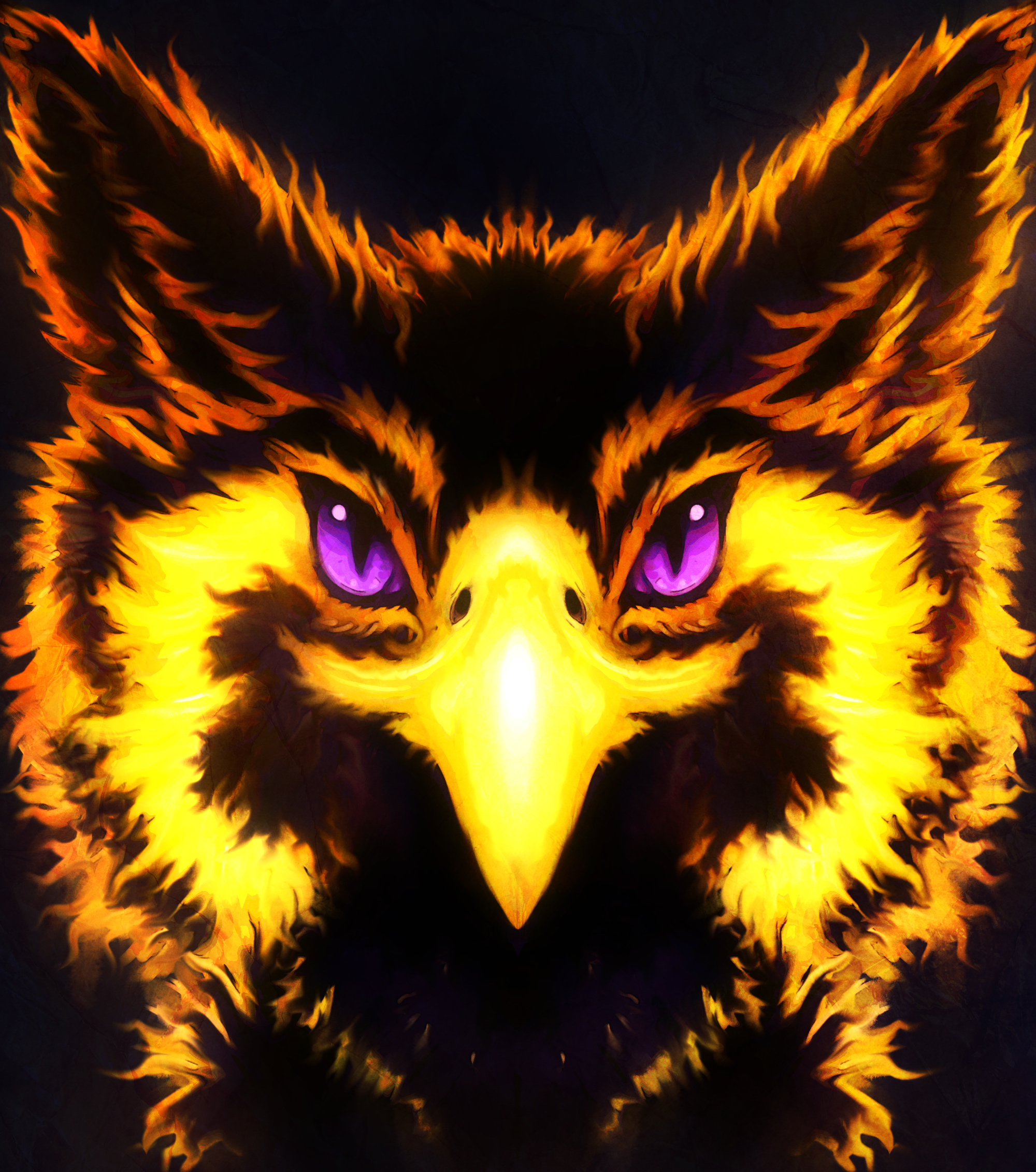 user avatar image for Kitt