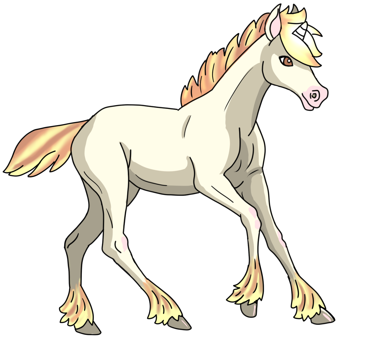 Unicorn Foal