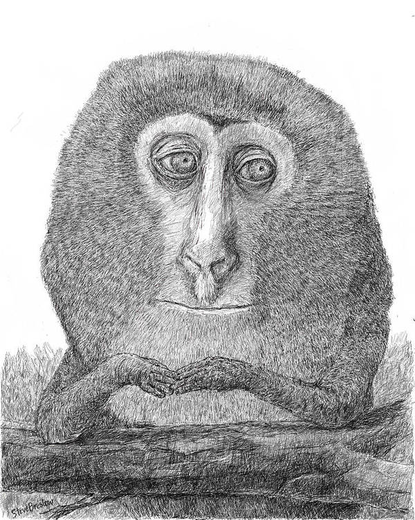 user avatar image for Olivia Siegel