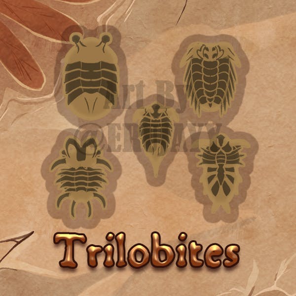 Trilobite Fossil Set