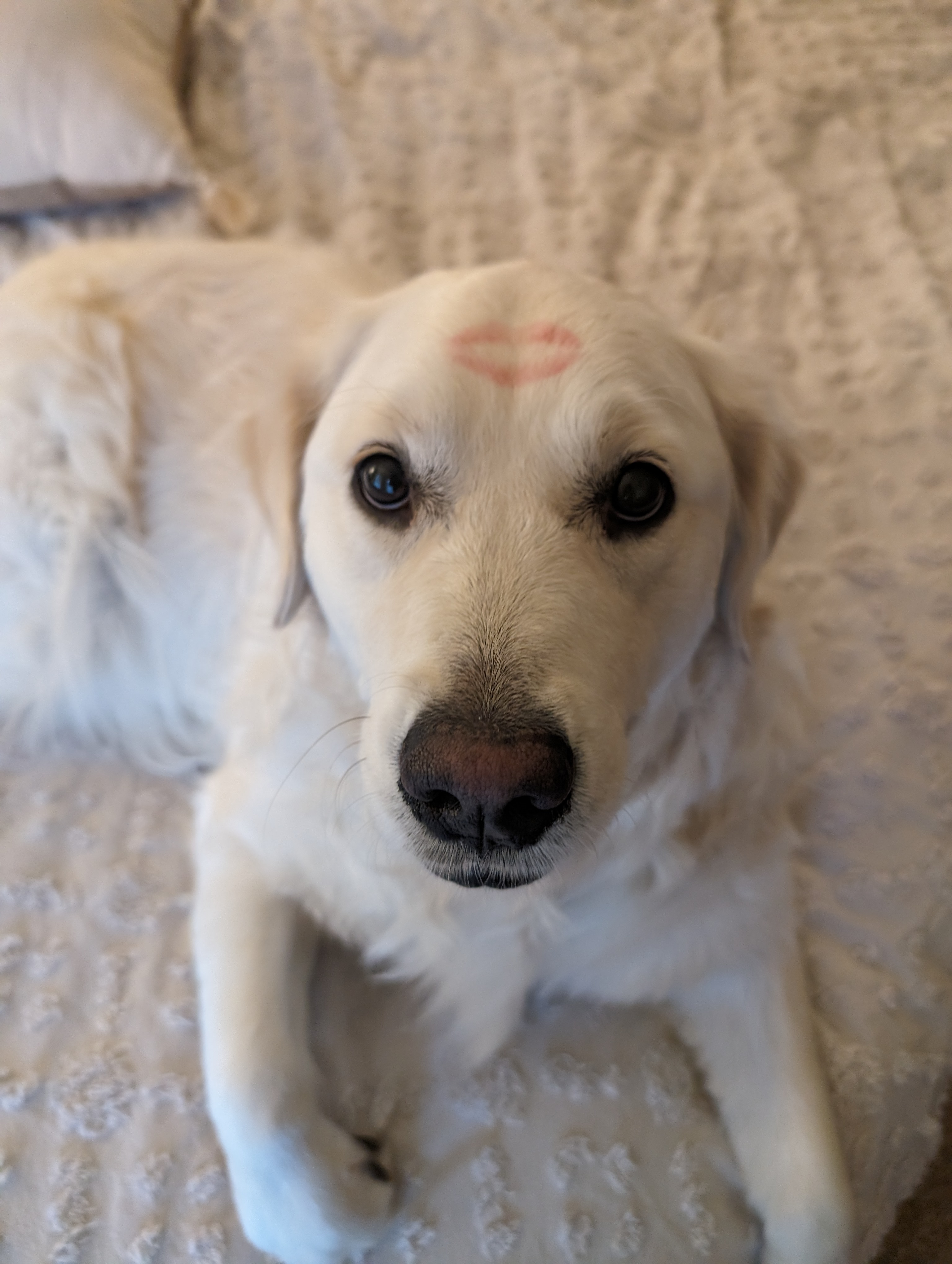 user avatar image for Miranda Campos