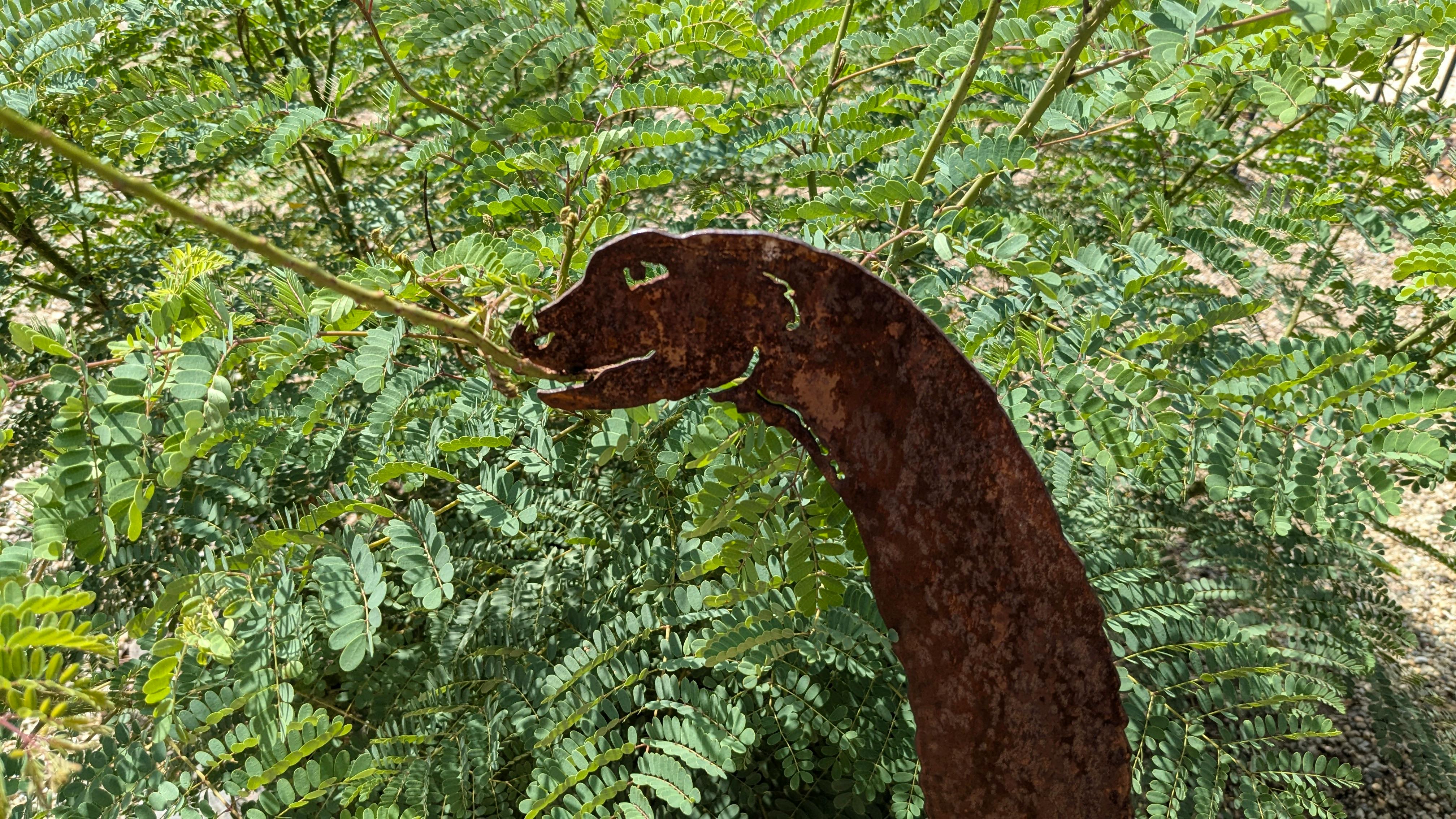 user avatar image for NLCC