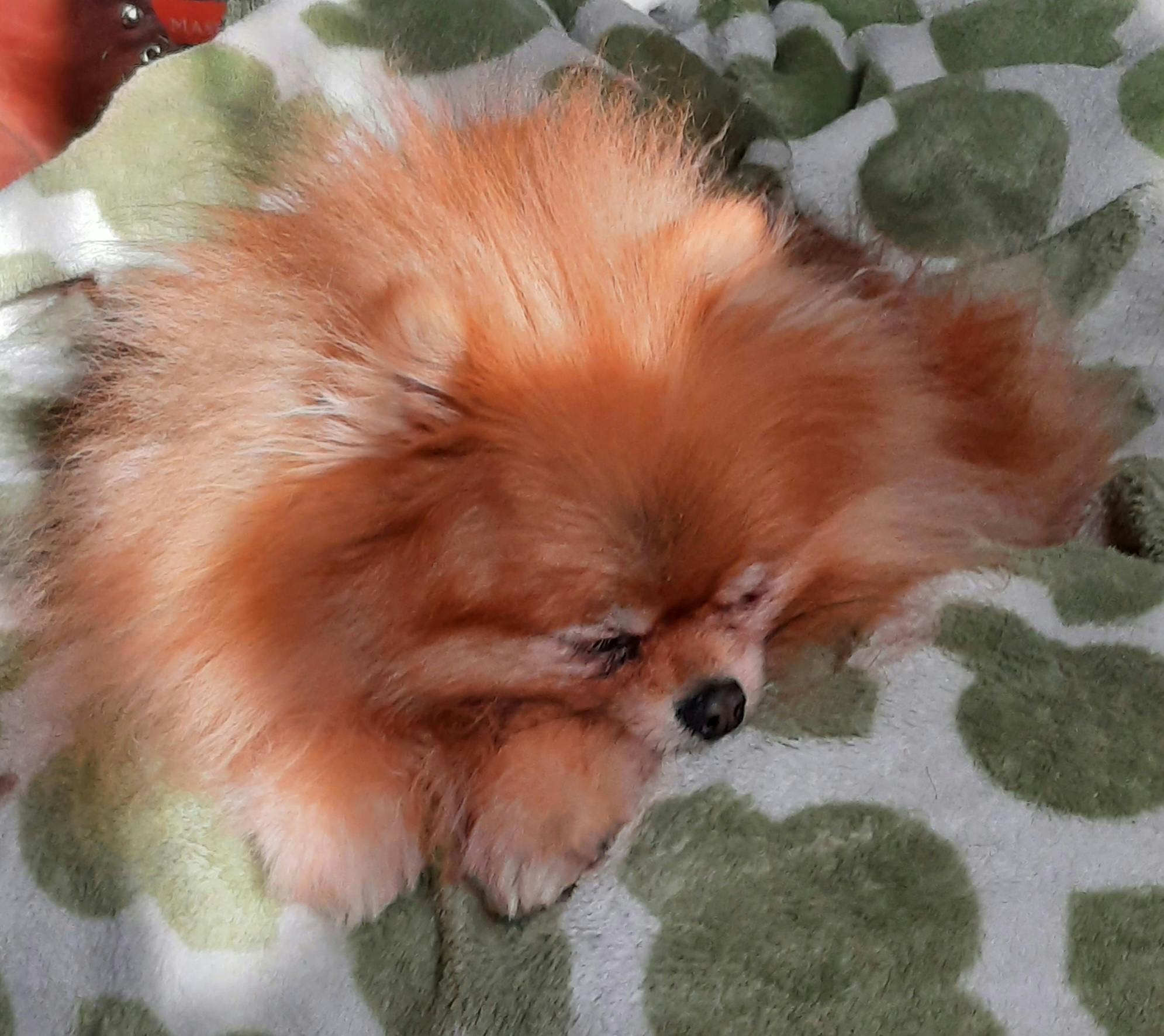 user avatar image for Spencer Haydn-Emerson