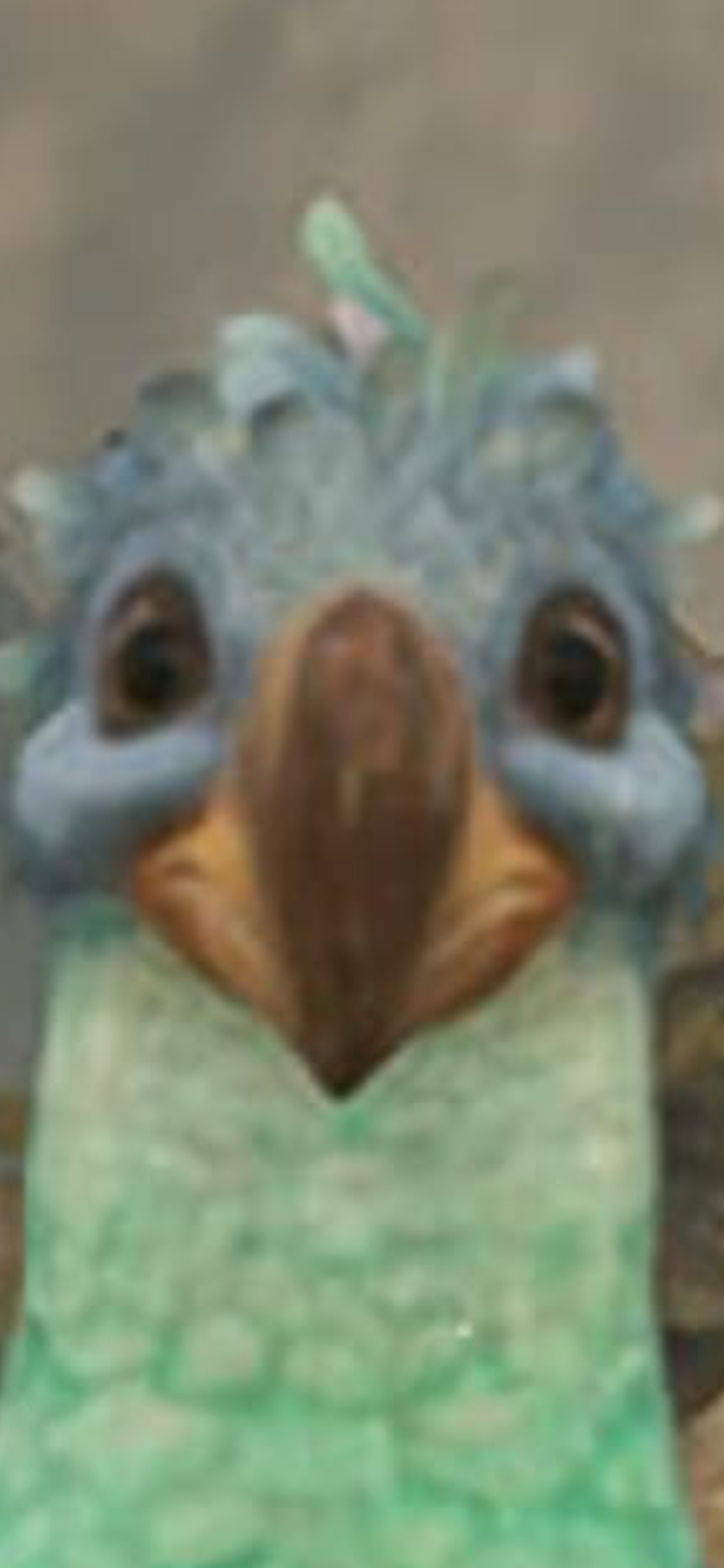 user avatar image for Ruby aka Ducky