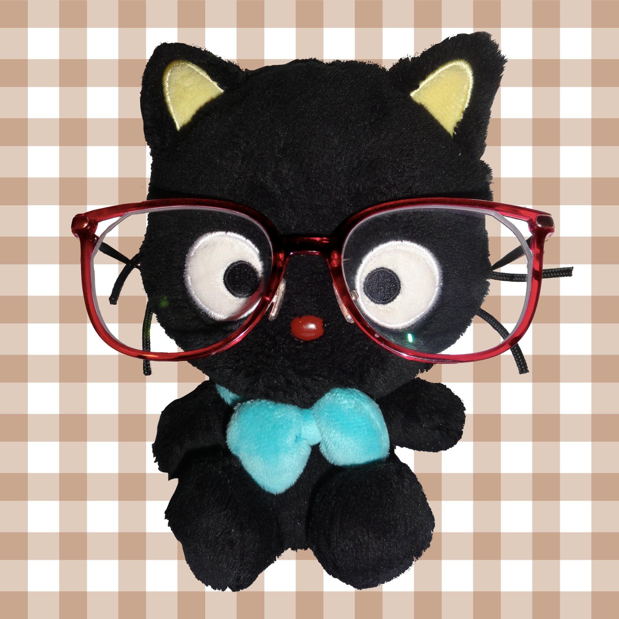 user avatar image for Araceli