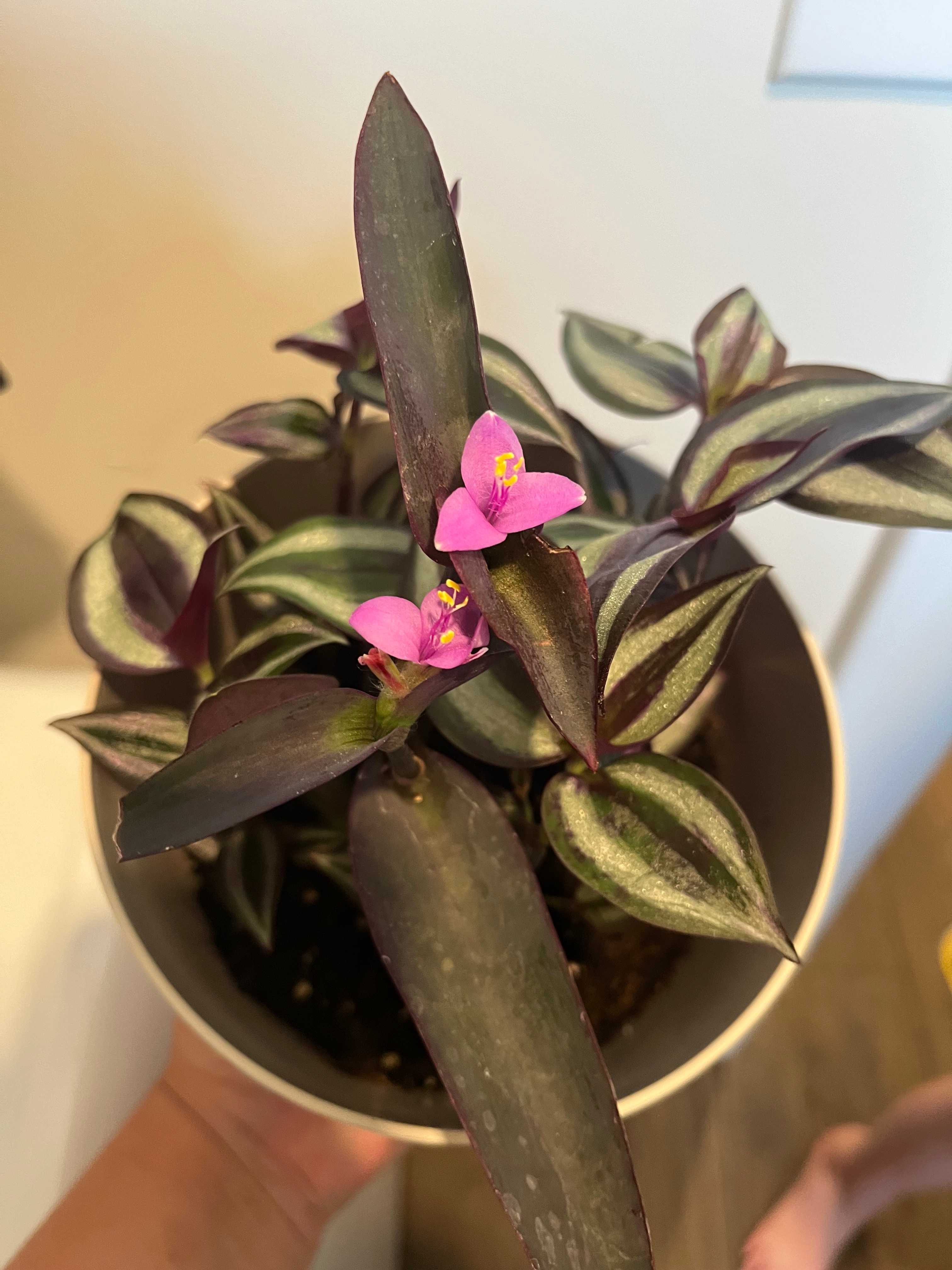 user avatar image for Marie