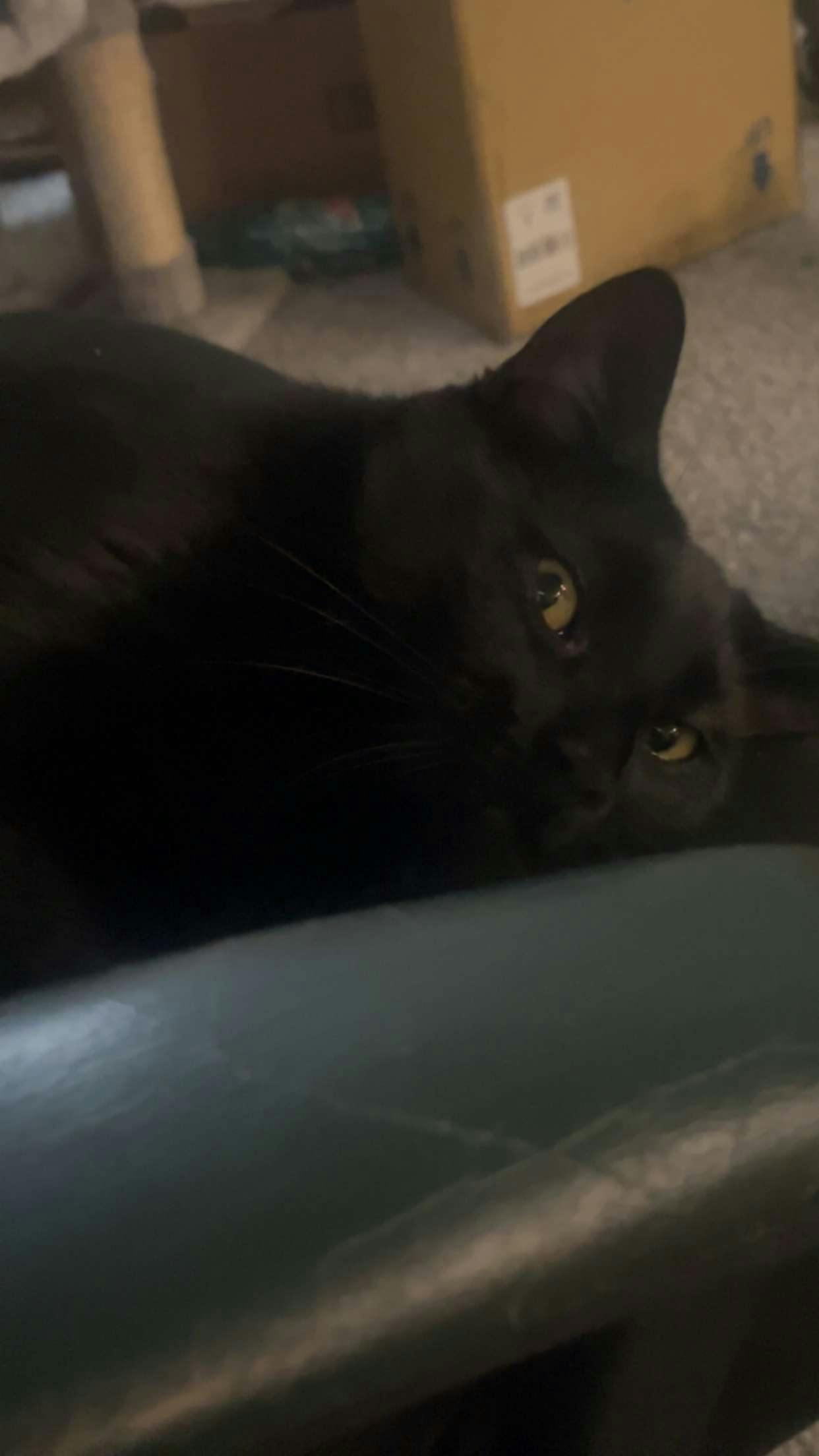 user avatar image for JBKara