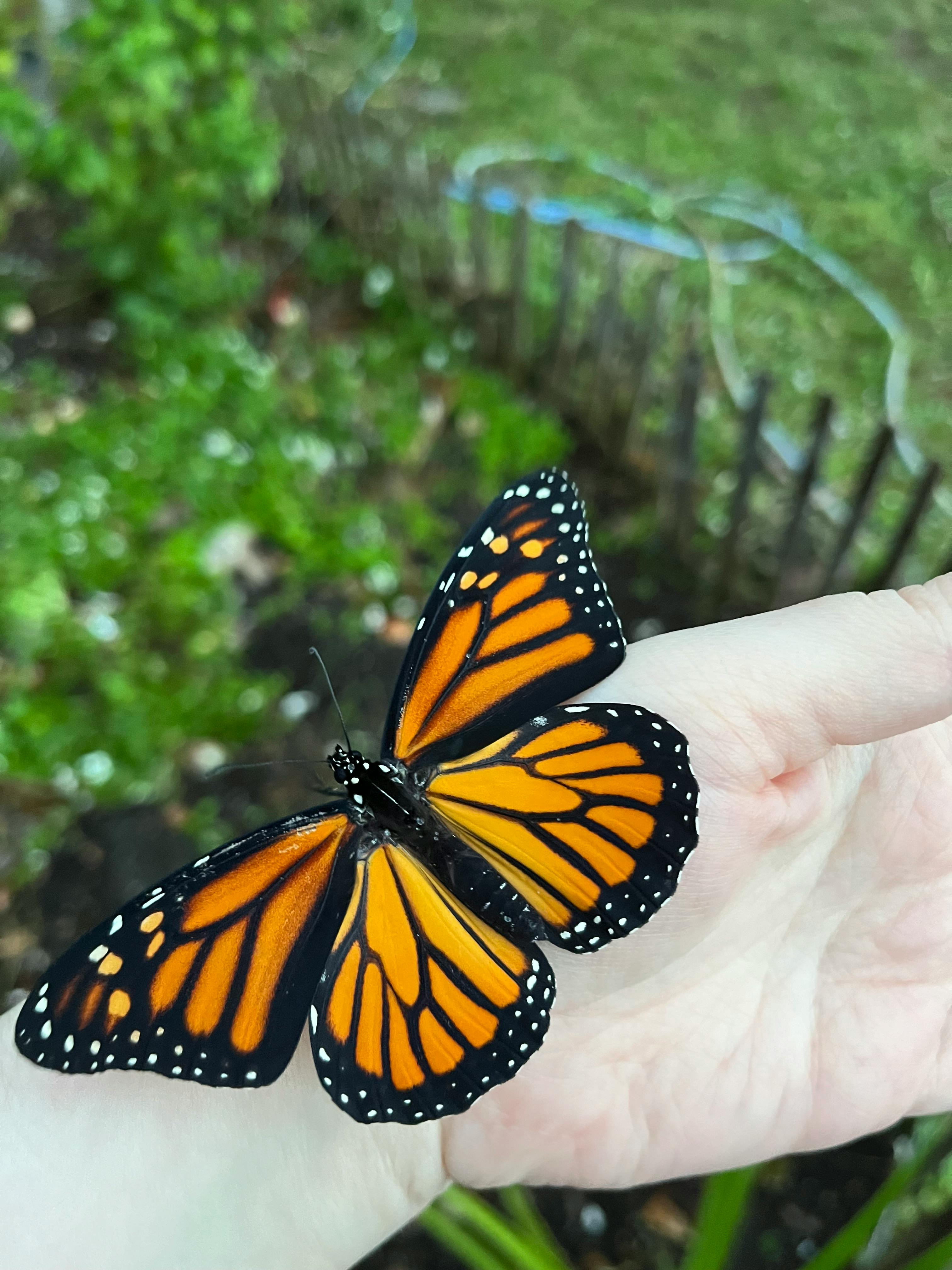 user avatar image for Lucienne P. Kennedy