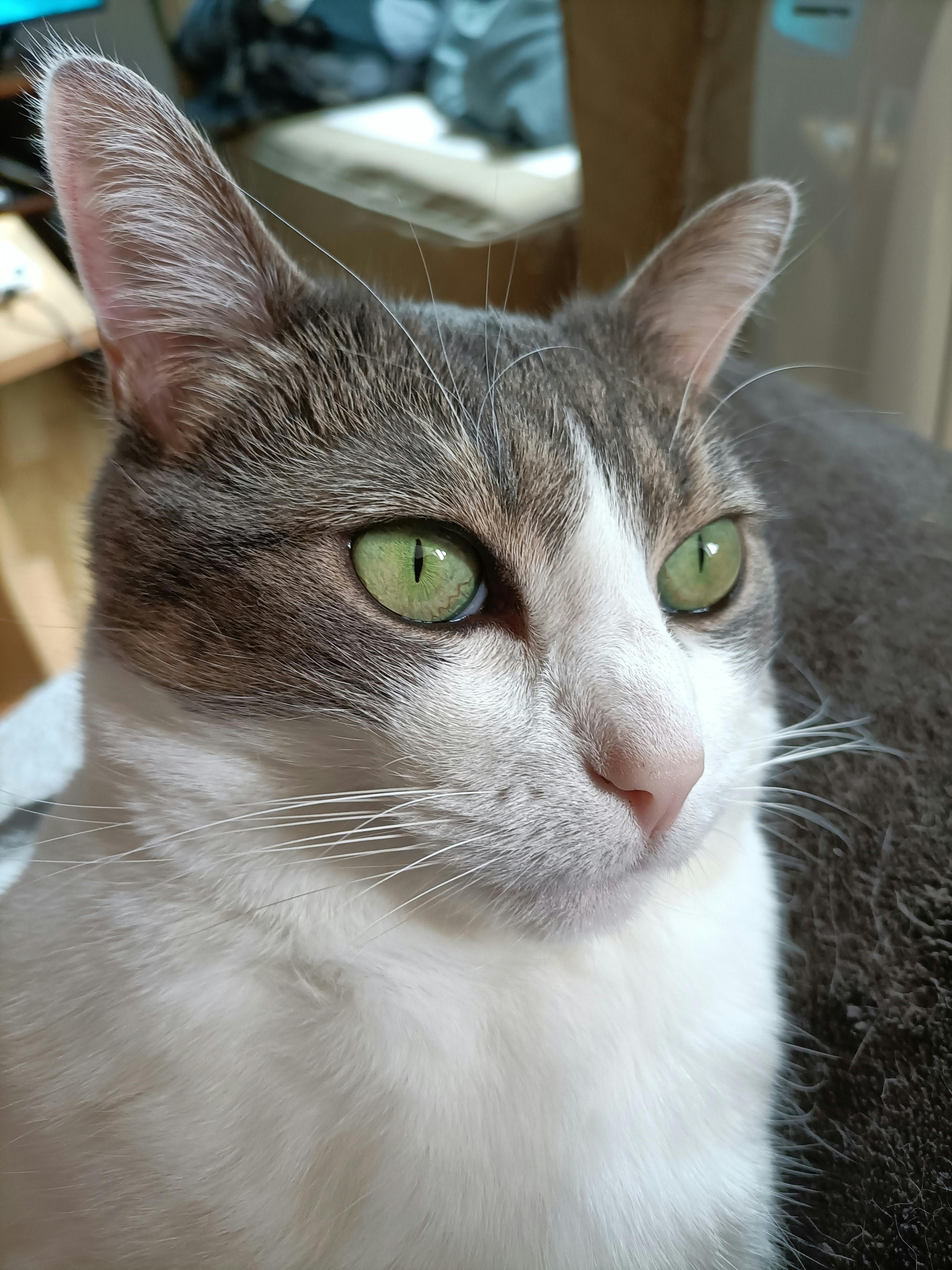 user avatar image for N.G