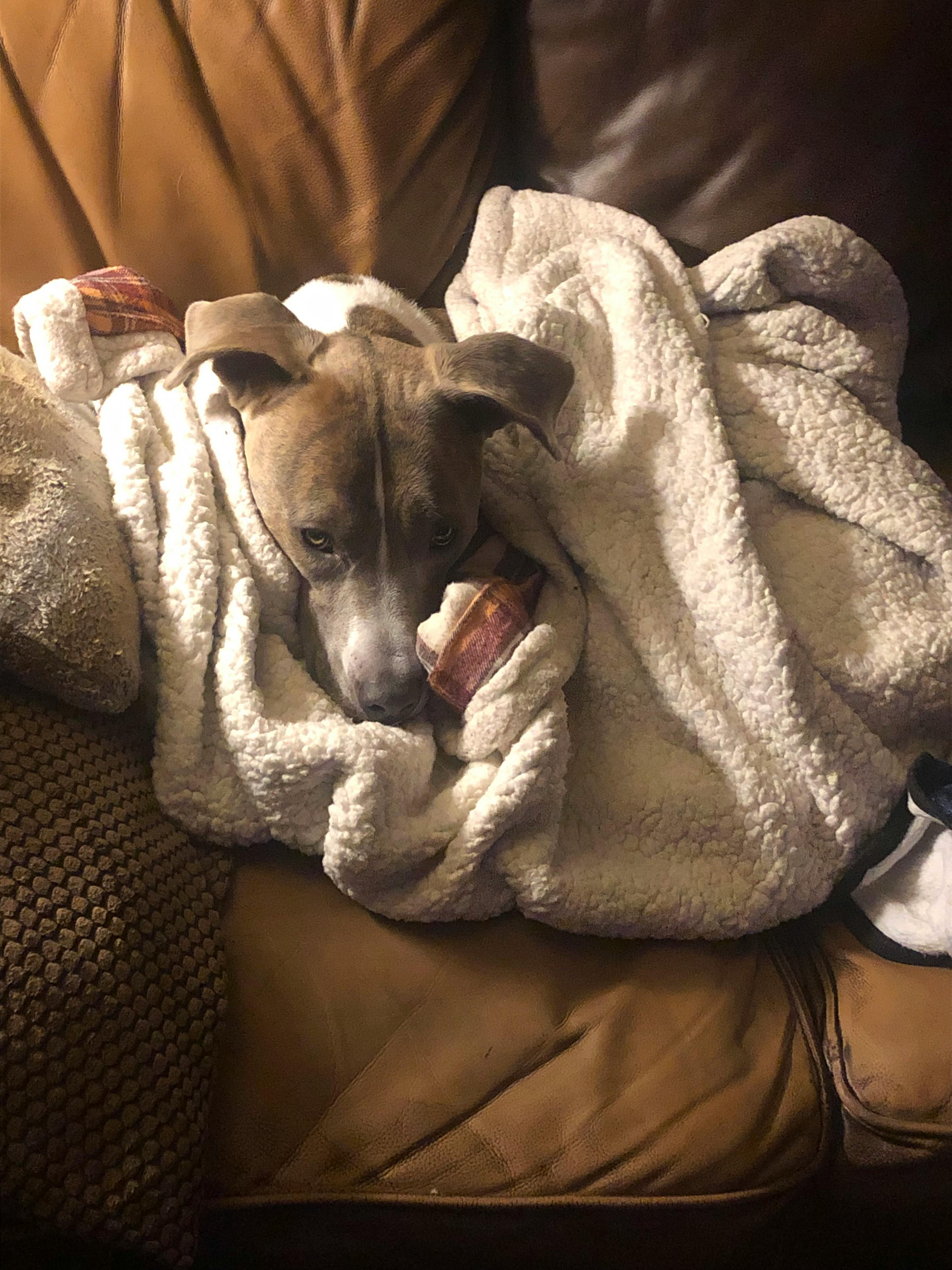 user avatar image for Kelly