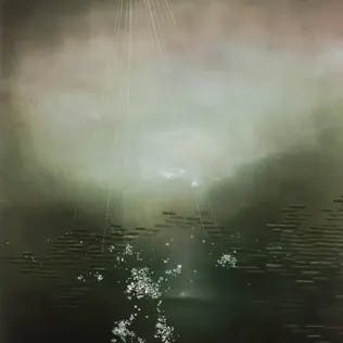 user avatar image for Robin Lash