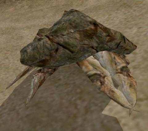 user avatar image for Feralmudcrab