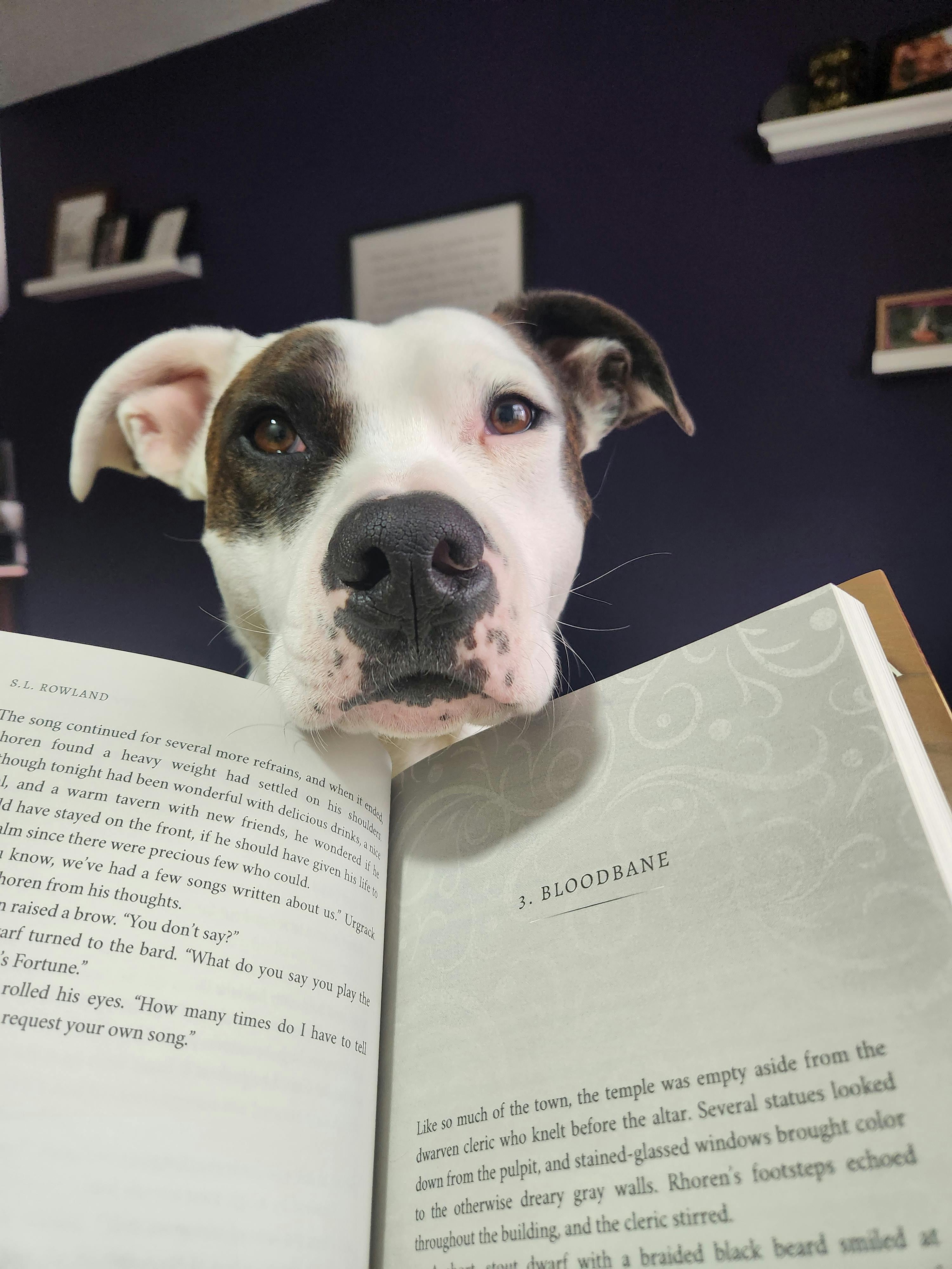 user avatar image for Kel