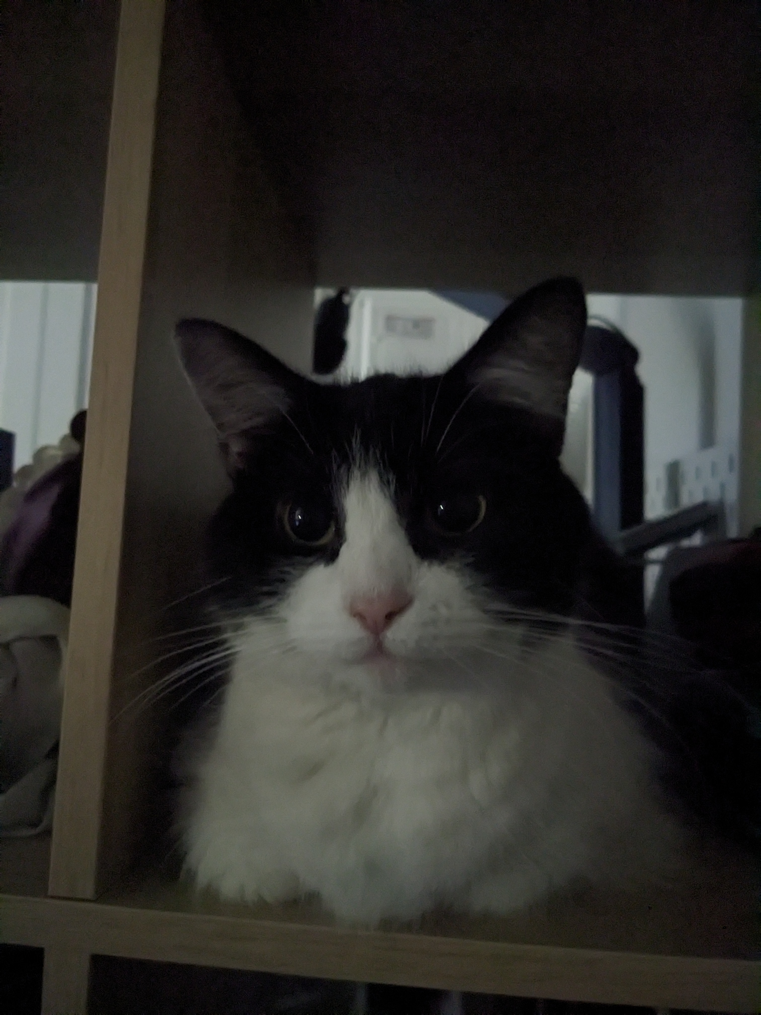 user avatar image for Nem