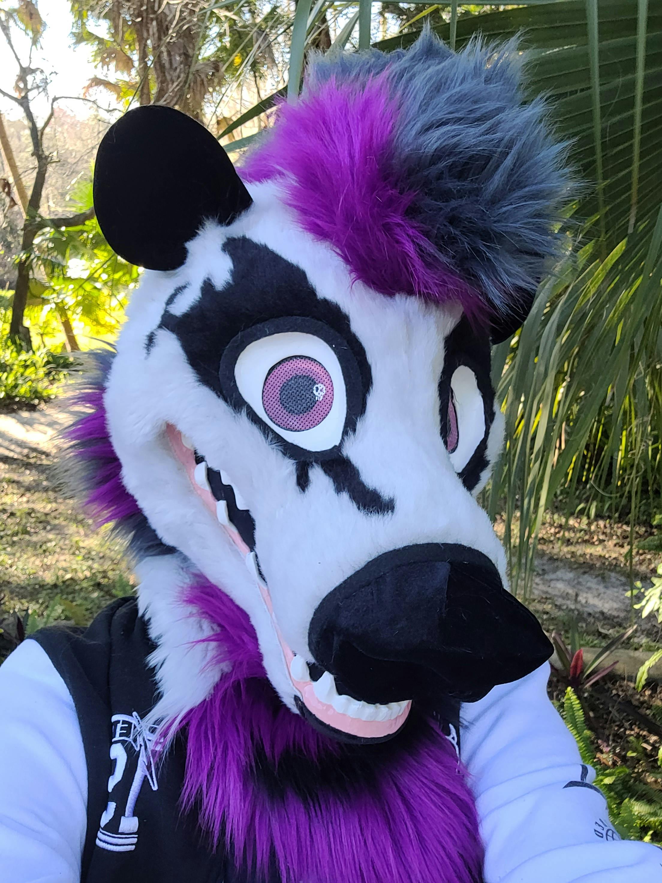 user avatar image for Alec