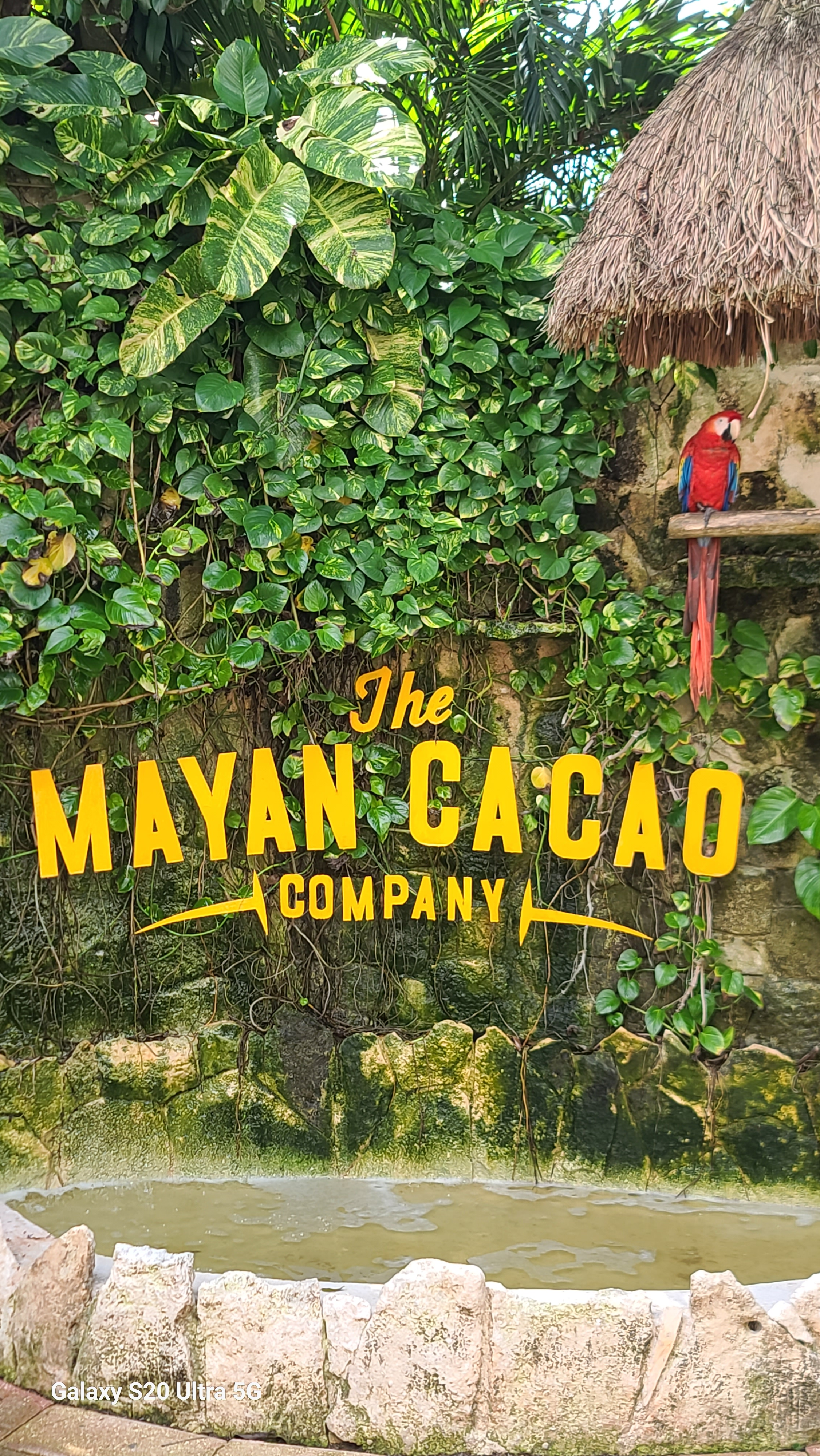 user avatar image for Velmaindro