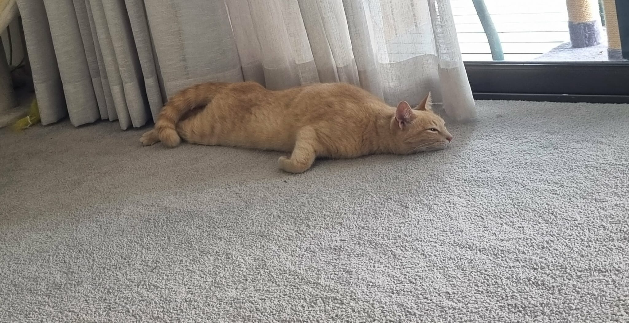 user avatar image for SwordHell