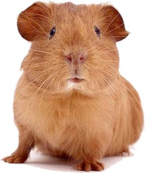 user avatar image for Elise F.