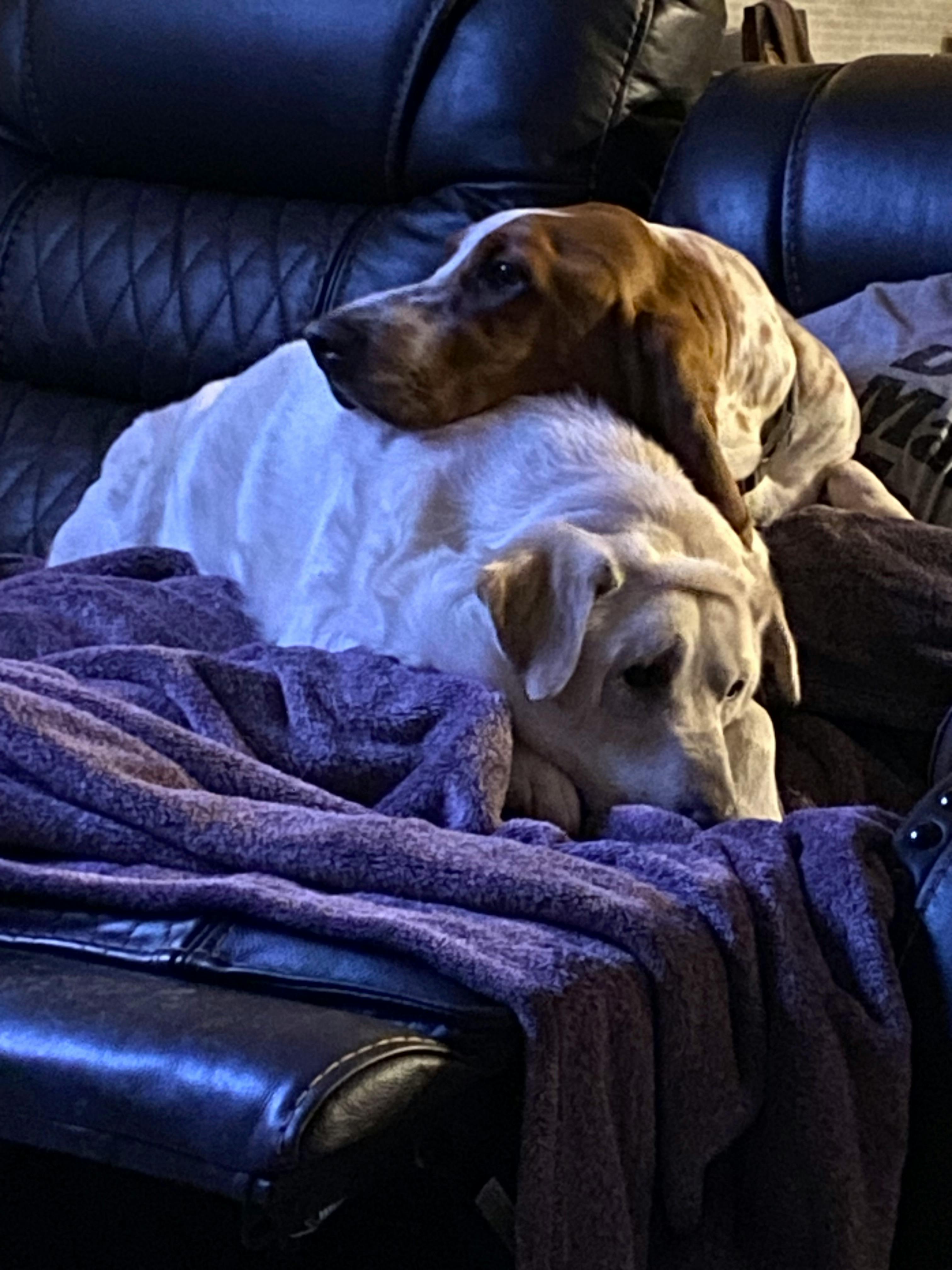 user avatar image for Tony Cabrera