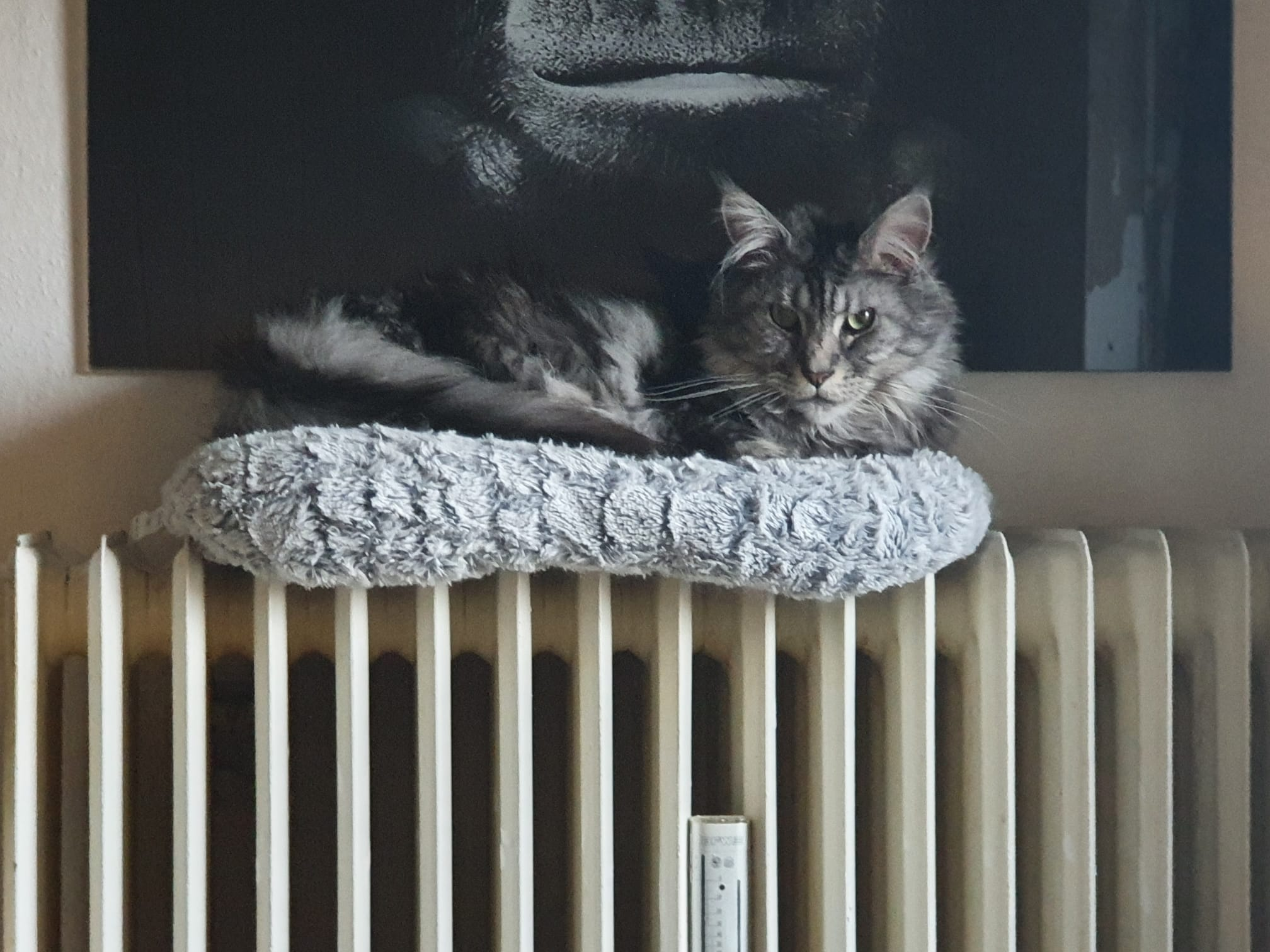 user avatar image for Rémi 