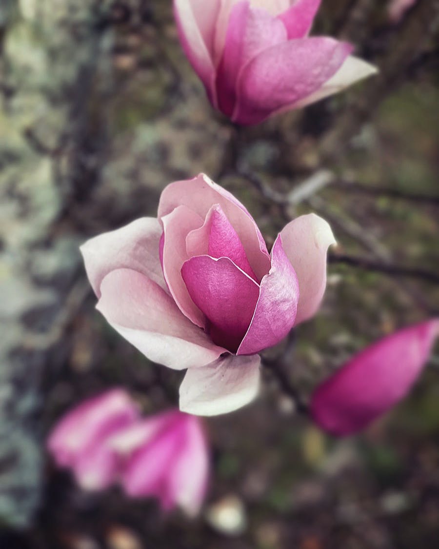 user avatar image for Leeloo Dallas