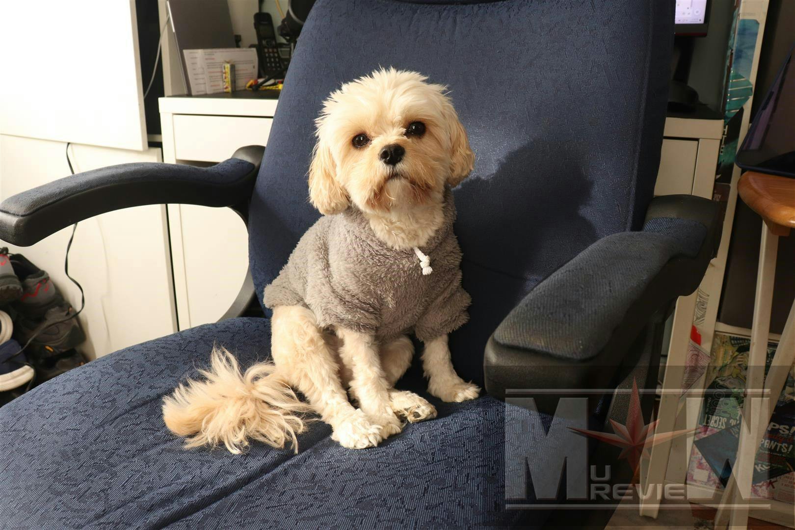 user avatar image for DJ