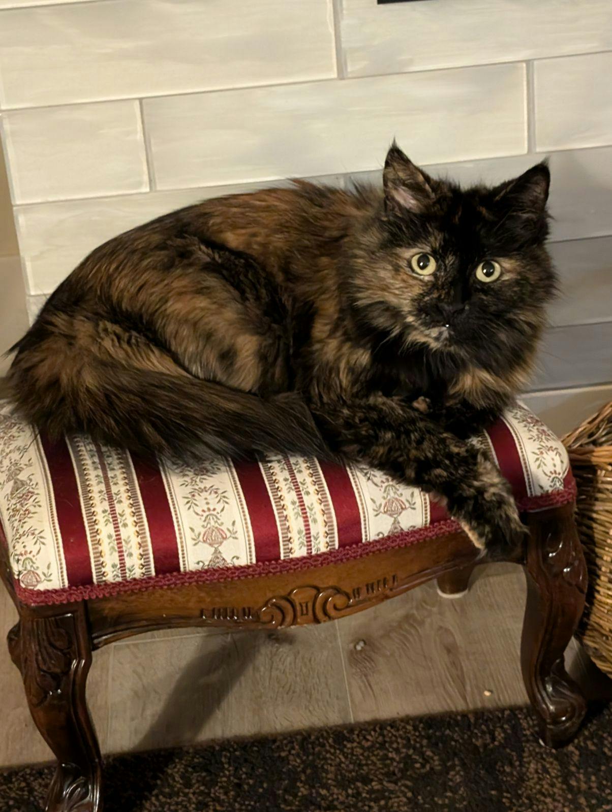 user avatar image for Givesgoodemail