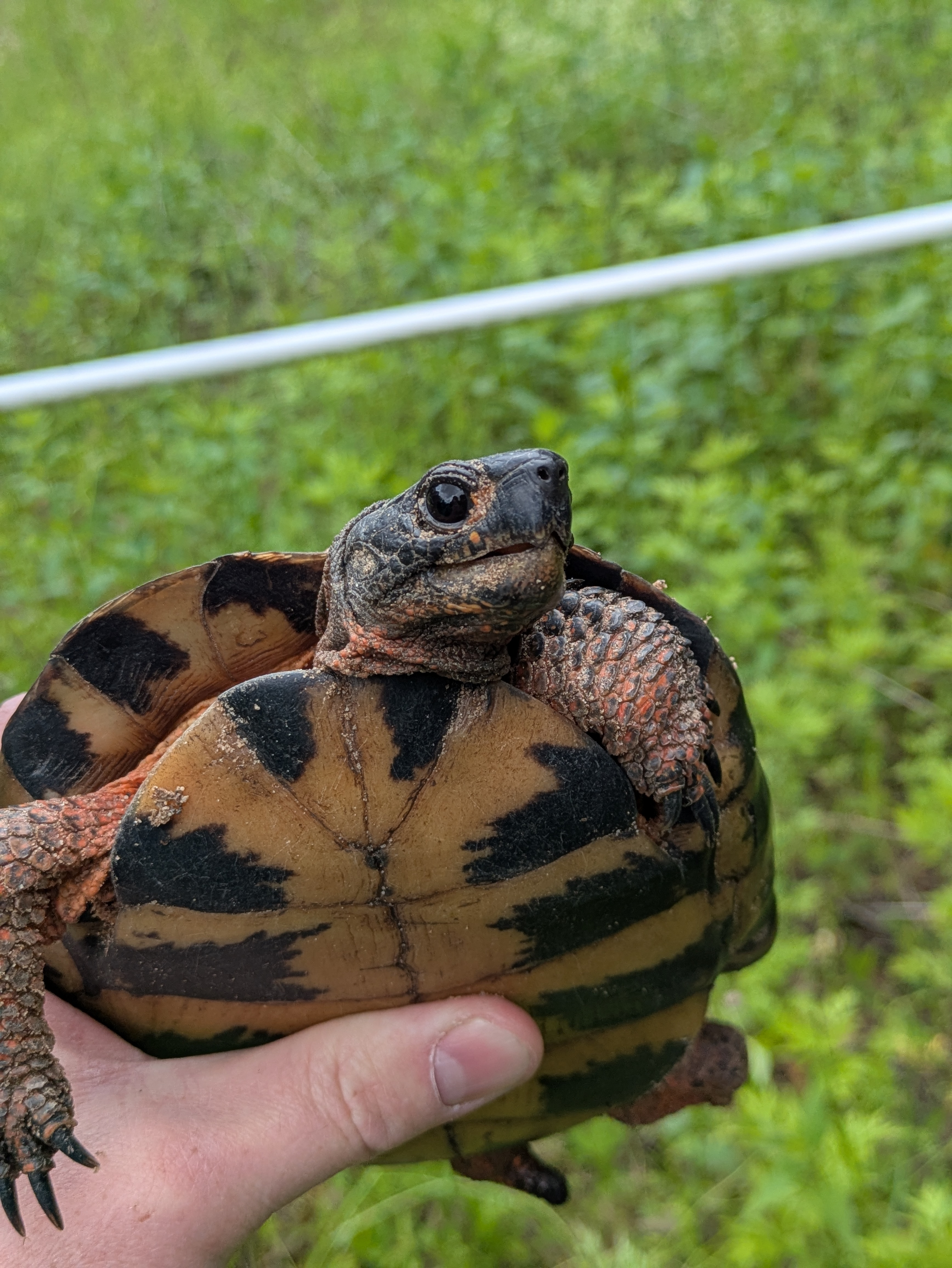 user avatar image for Staml4129