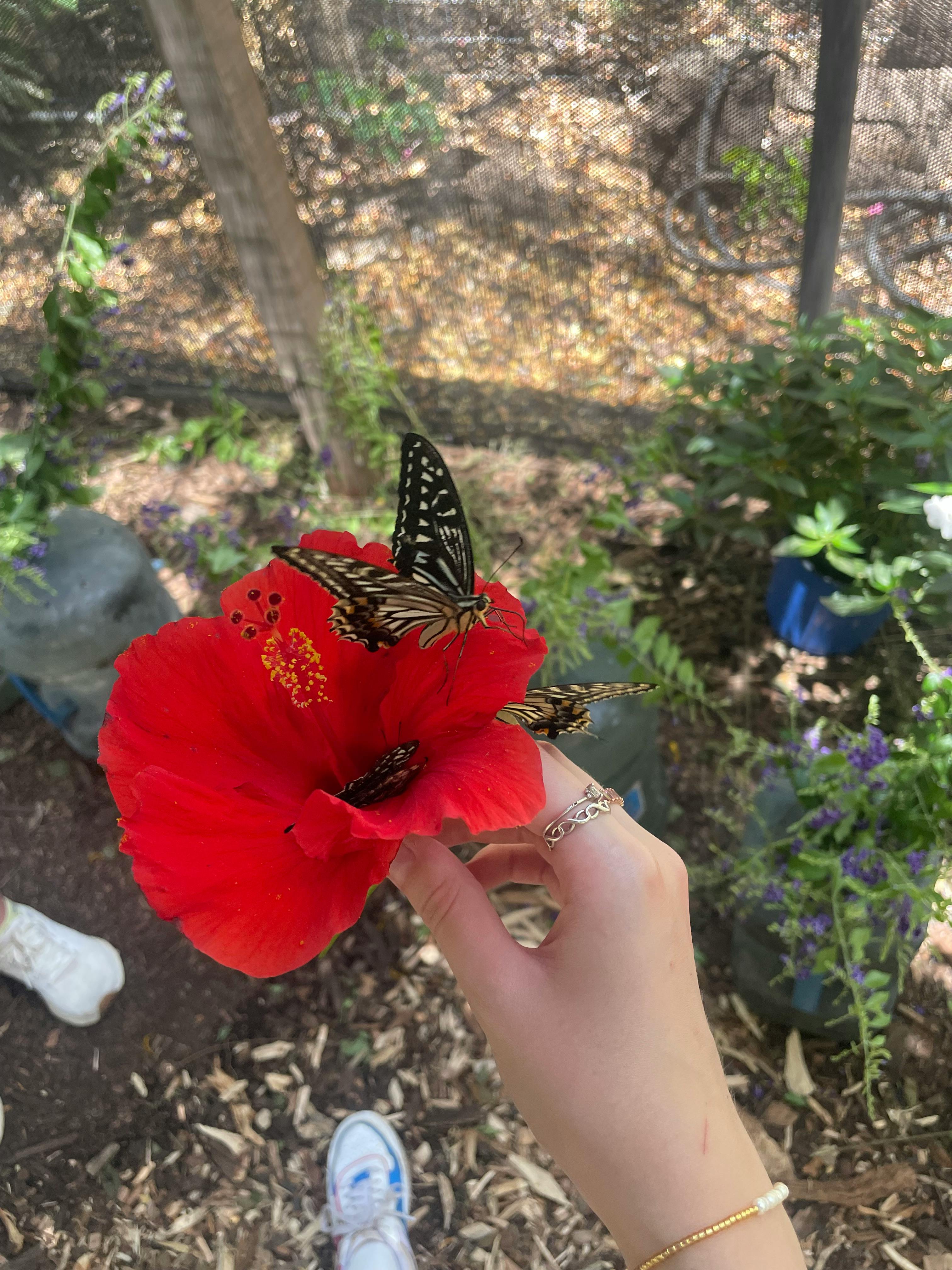 user avatar image for Courtney