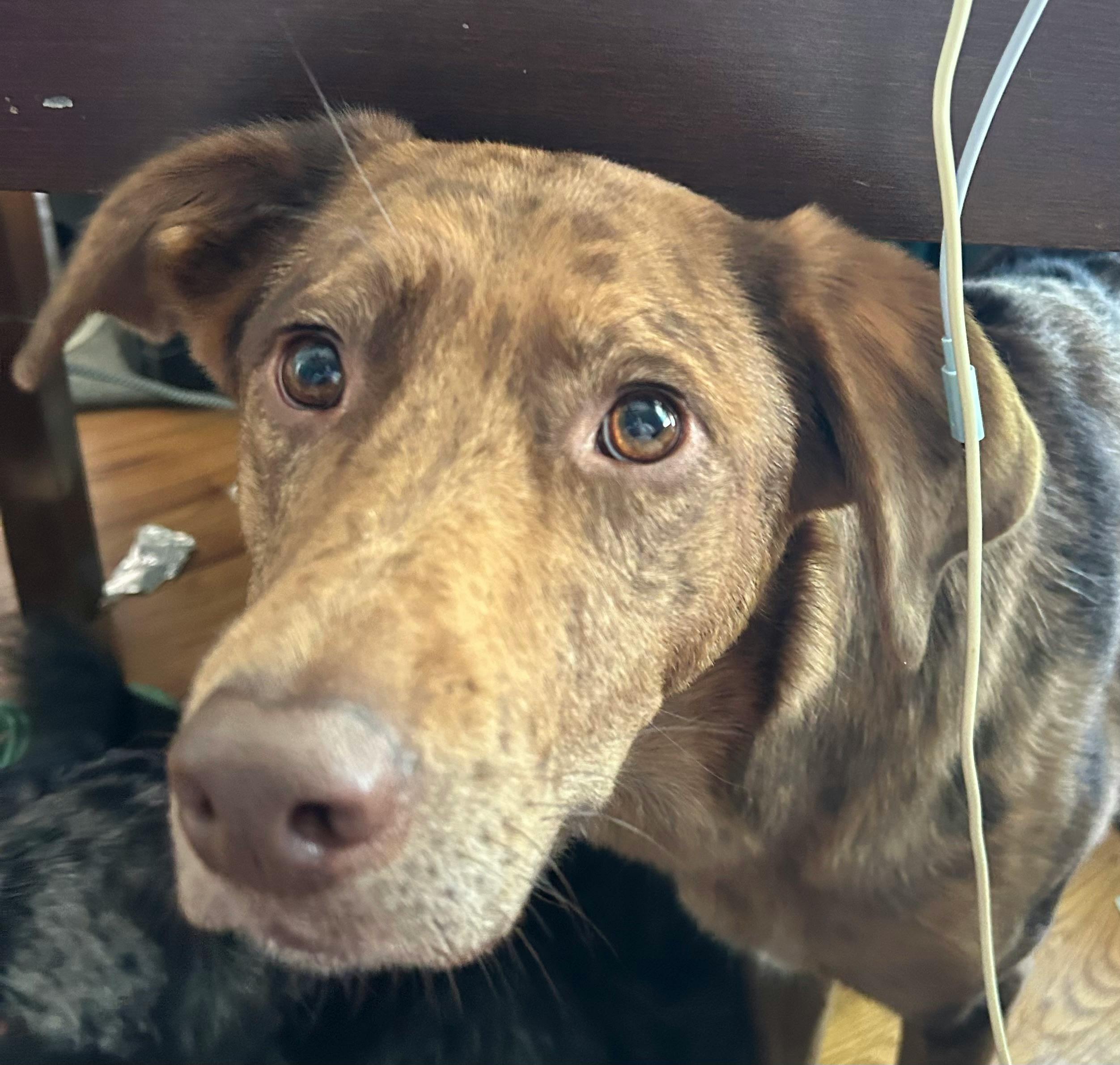 user avatar image for Teal Podraza