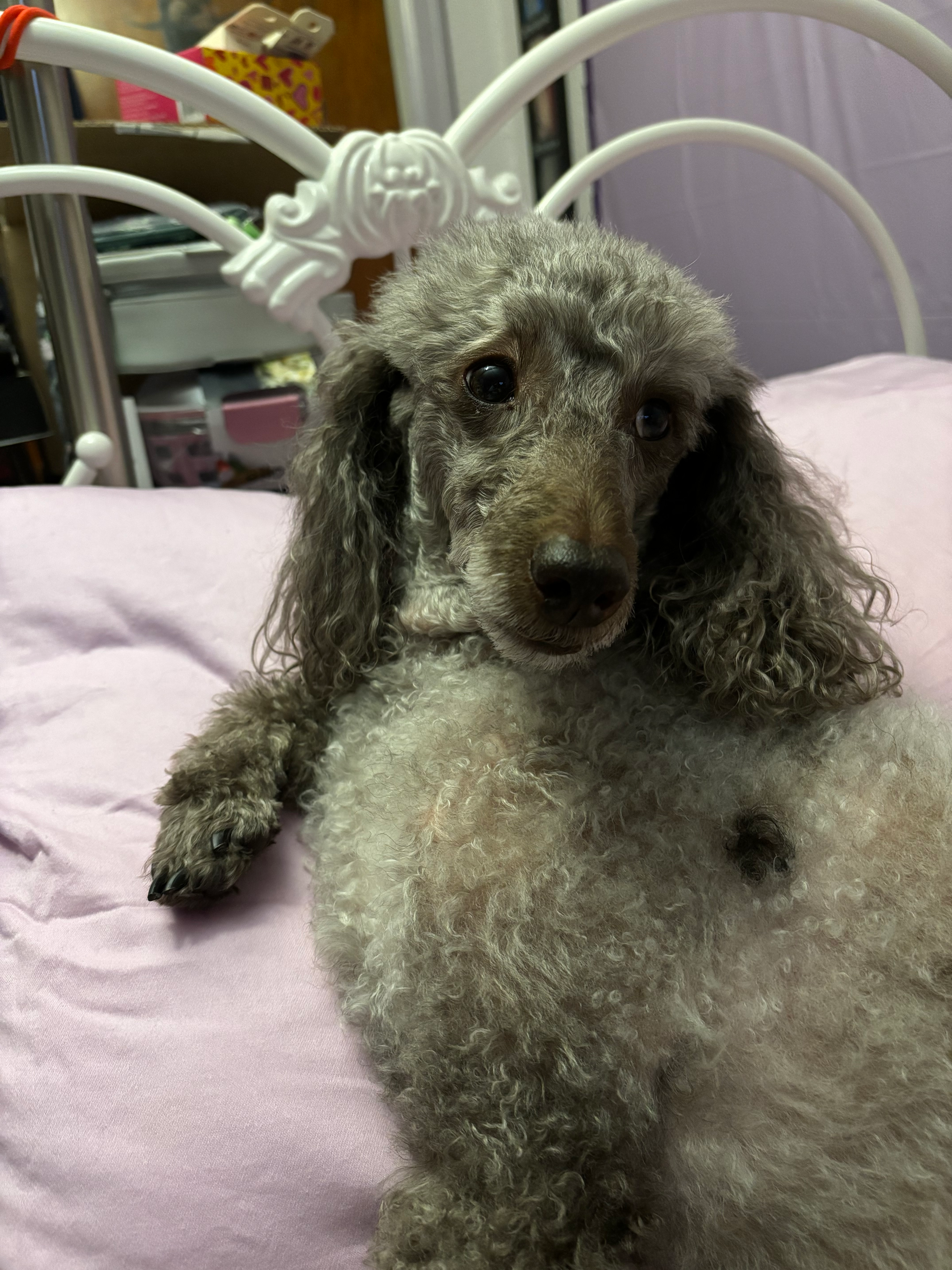 user avatar image for Kathleen Wilson