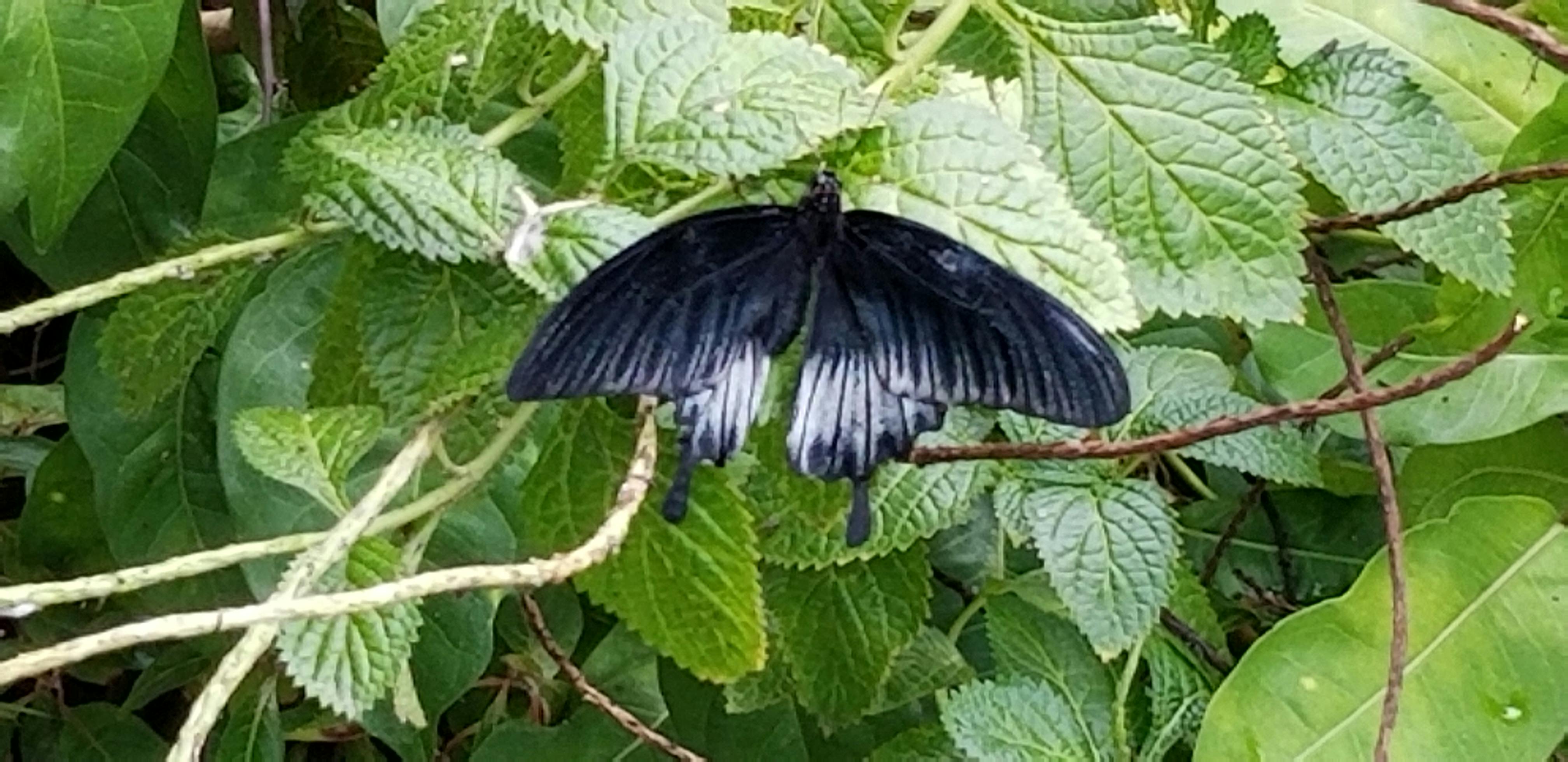 user avatar image for Tourmaline Sky