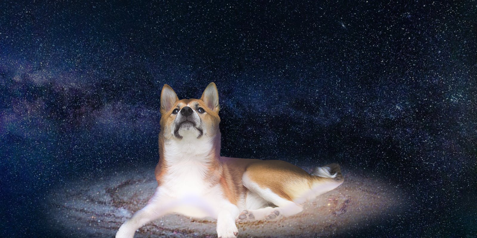 user avatar image for Less