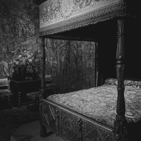 Follow the rules. You can explore tomorrow.