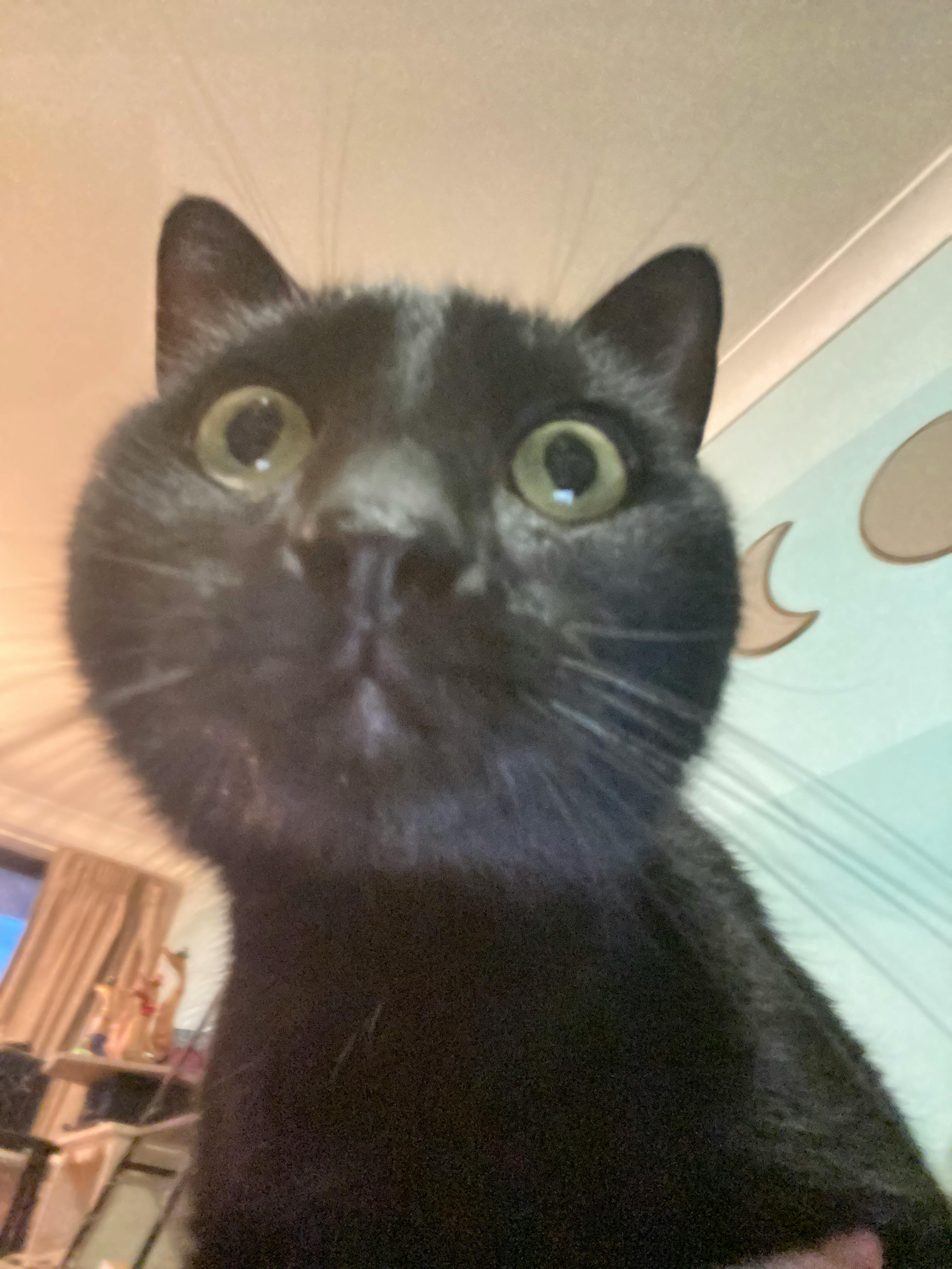 user avatar image for River Glenreed