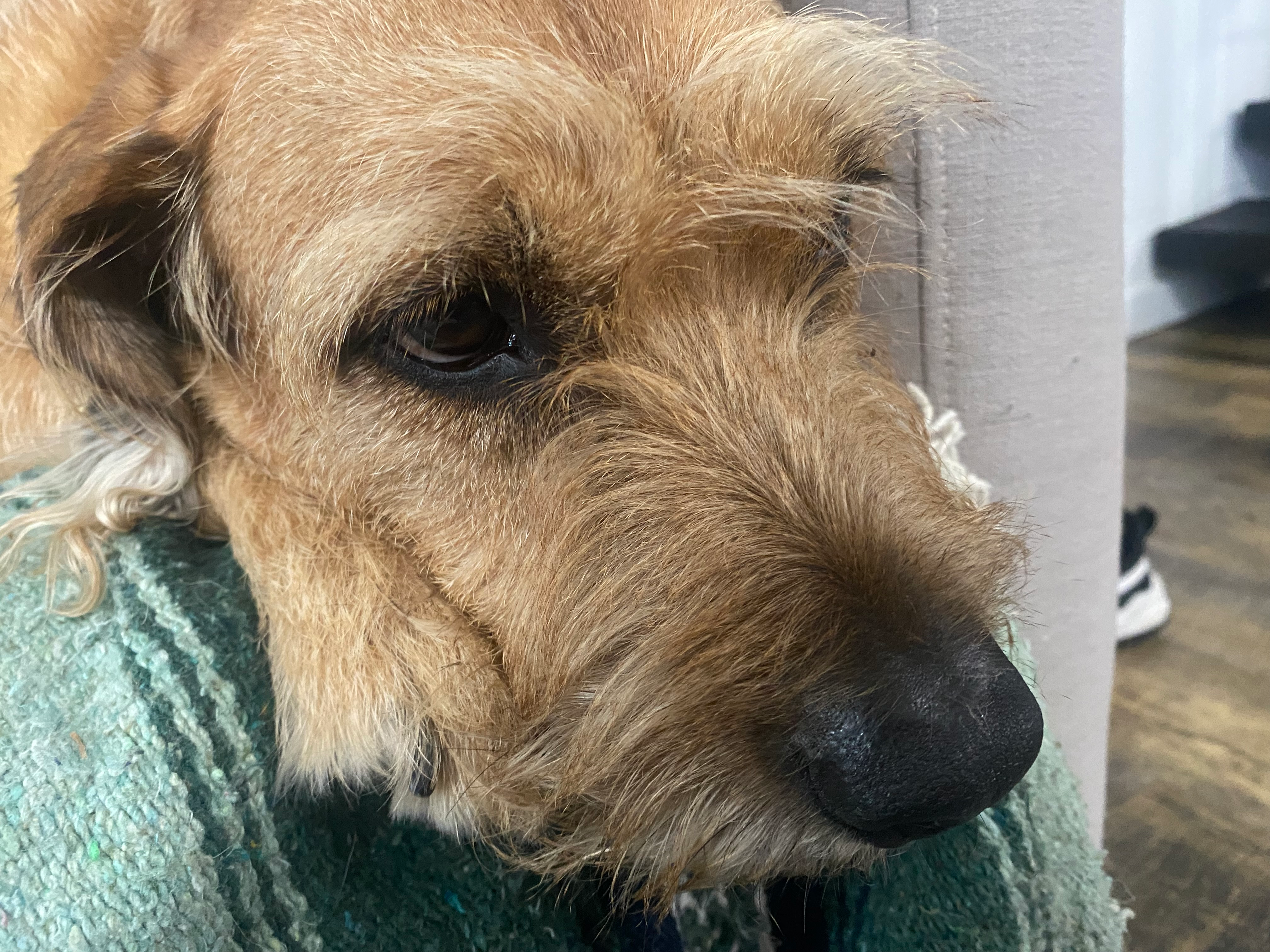 user avatar image for Christian B