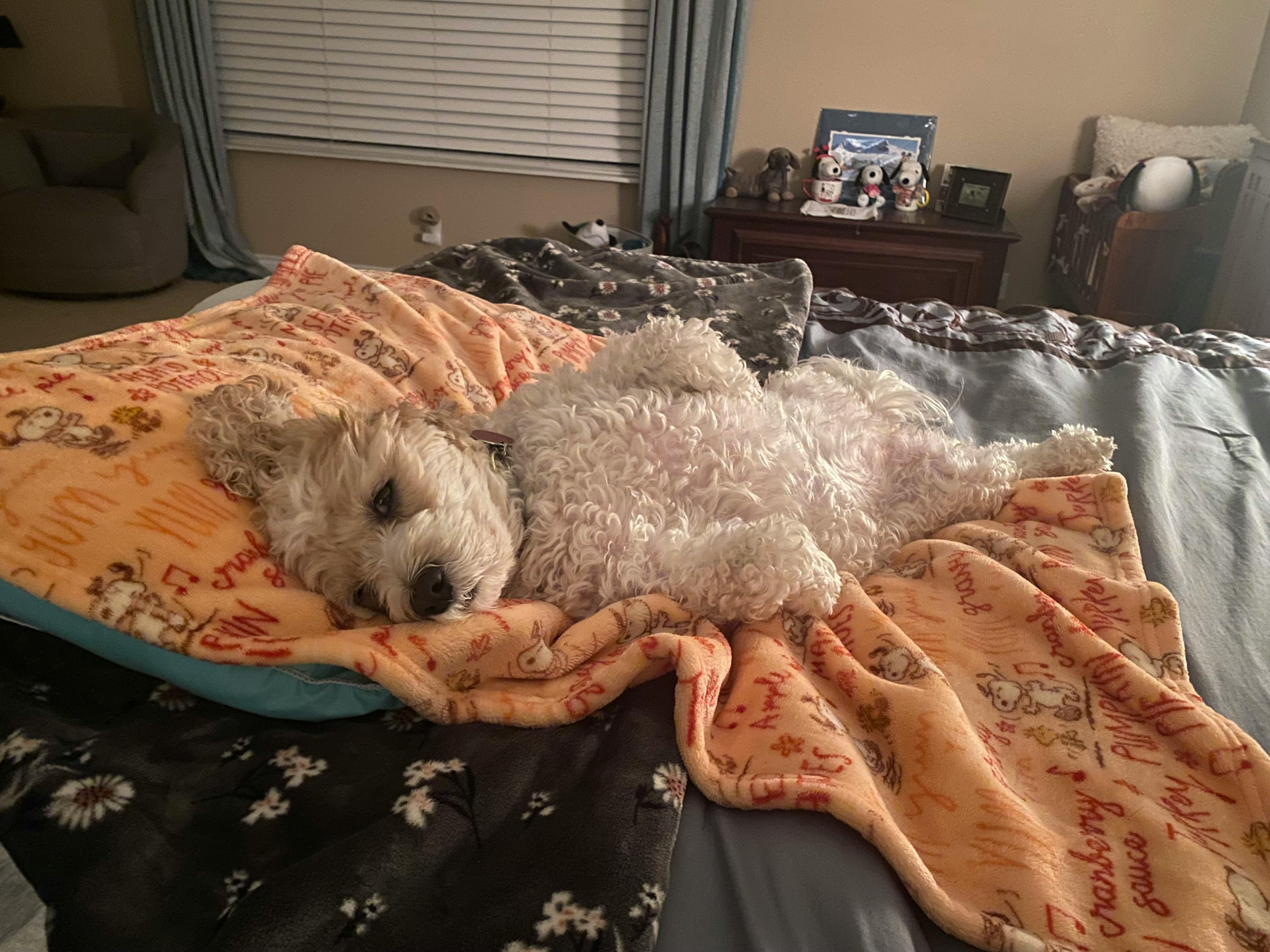 user avatar image for DougInTx