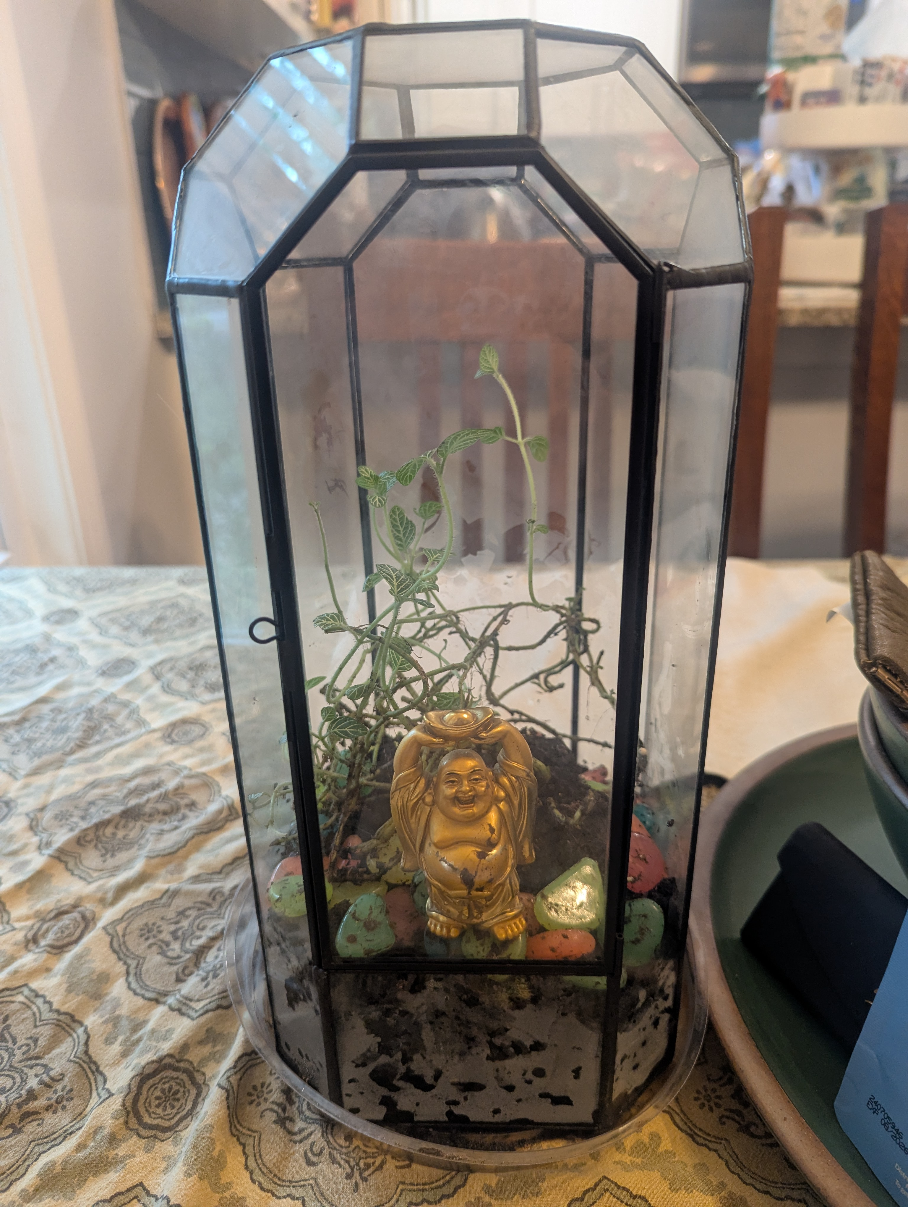 user avatar image for Tory E