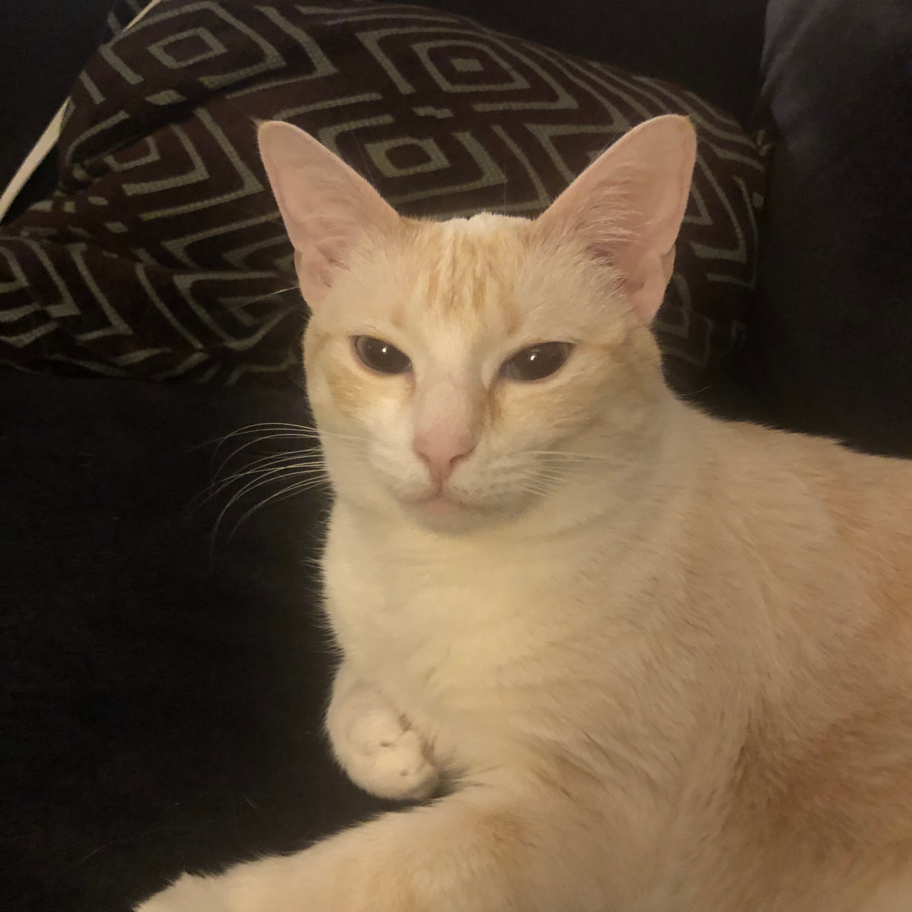 user avatar image for Jesus Ramos