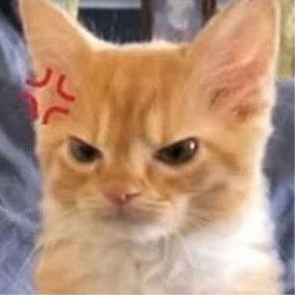 user avatar image for Sneaky