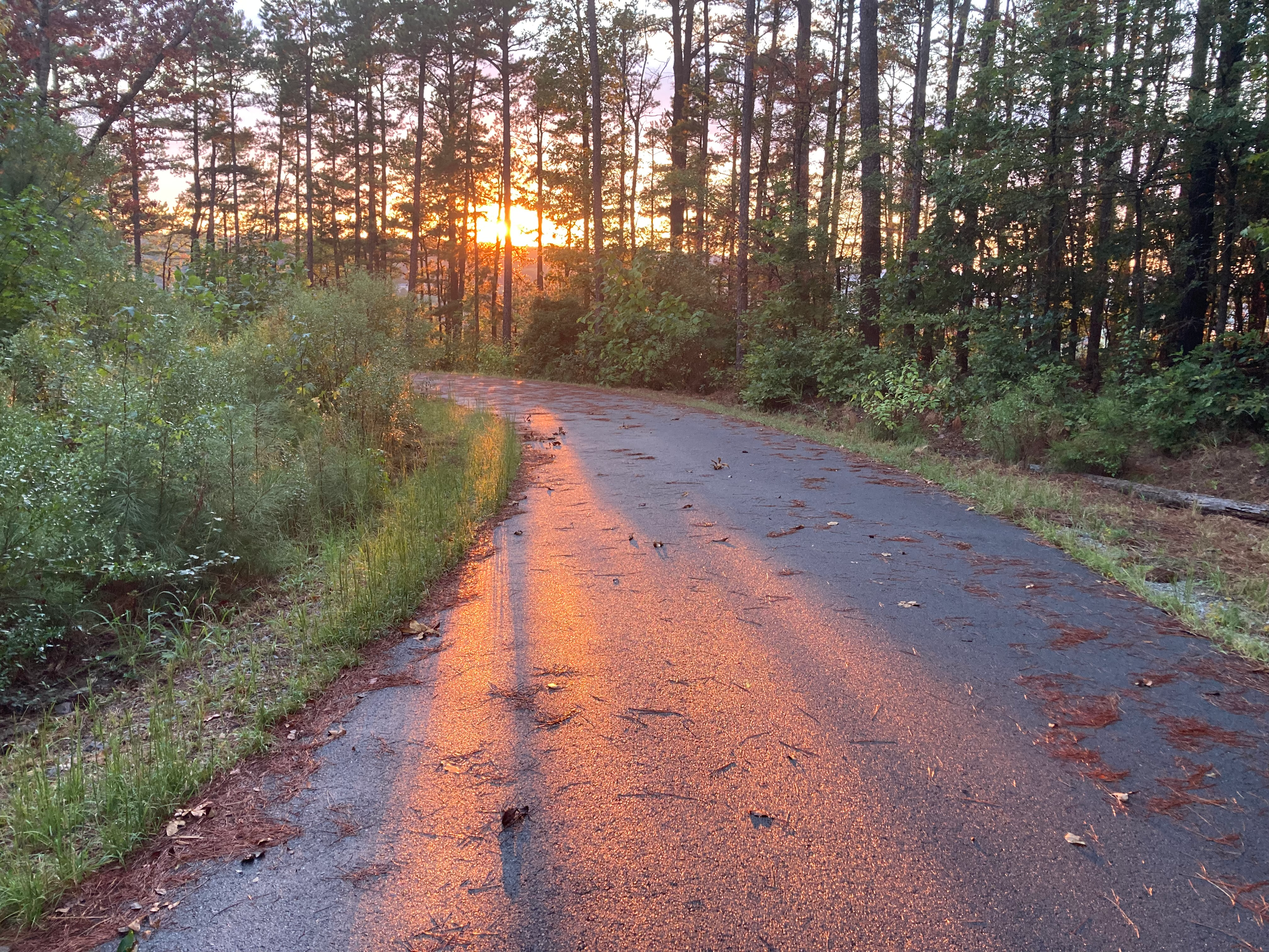 user avatar image for Brian Ivers