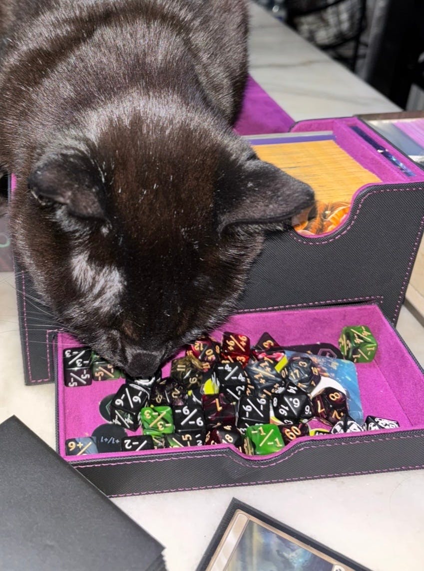 user avatar image for Allie Kukuch