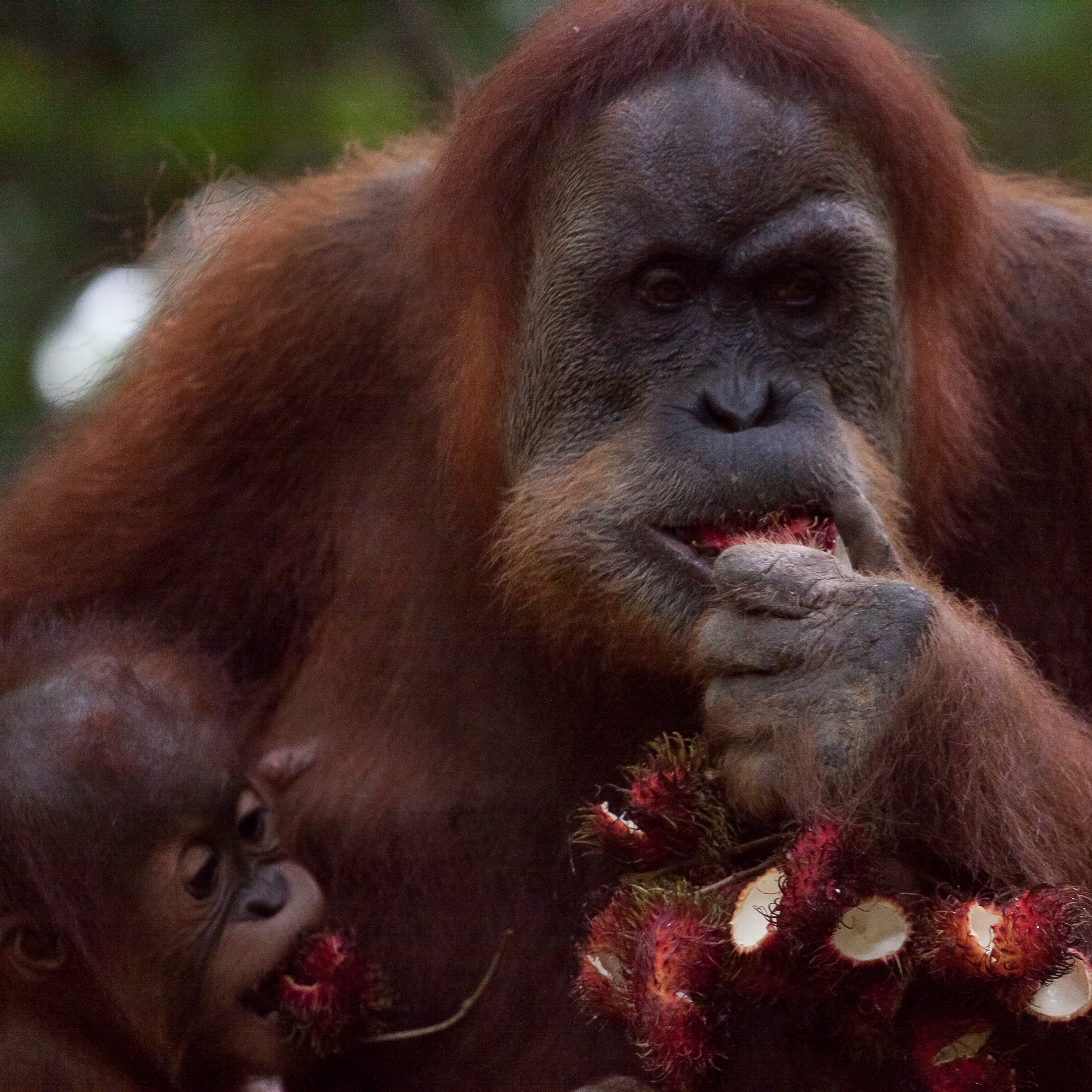 user avatar image for Jbzieman