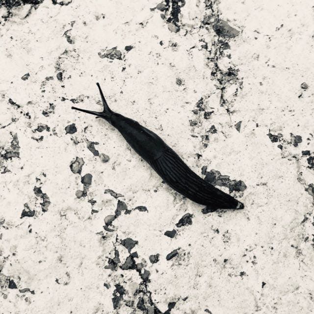 user avatar image for Francescopaolo isidoro