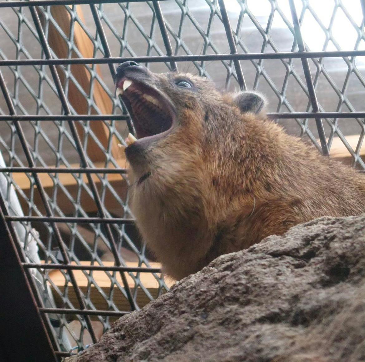 user avatar image for AnthonyG37