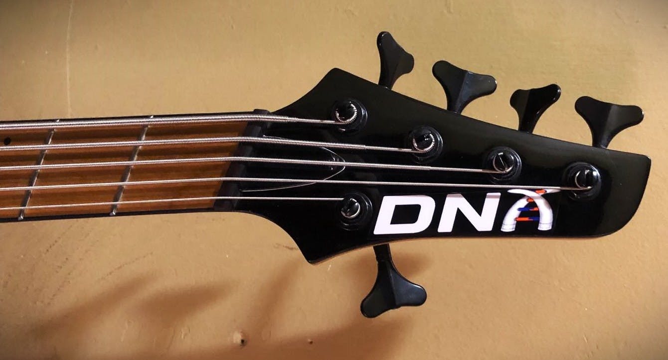 user avatar image for The DNA Vibrator