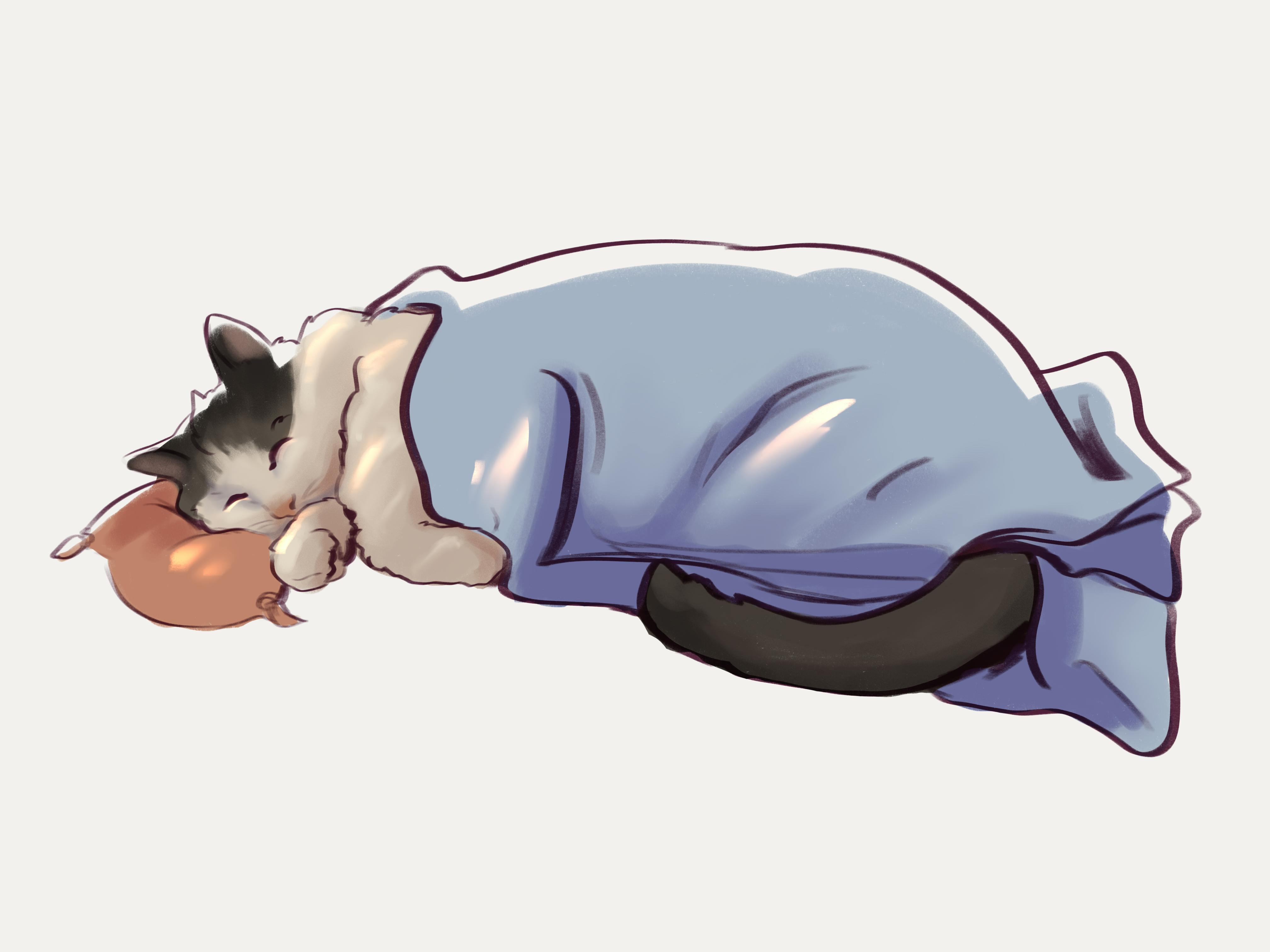 user avatar image for Aoichou