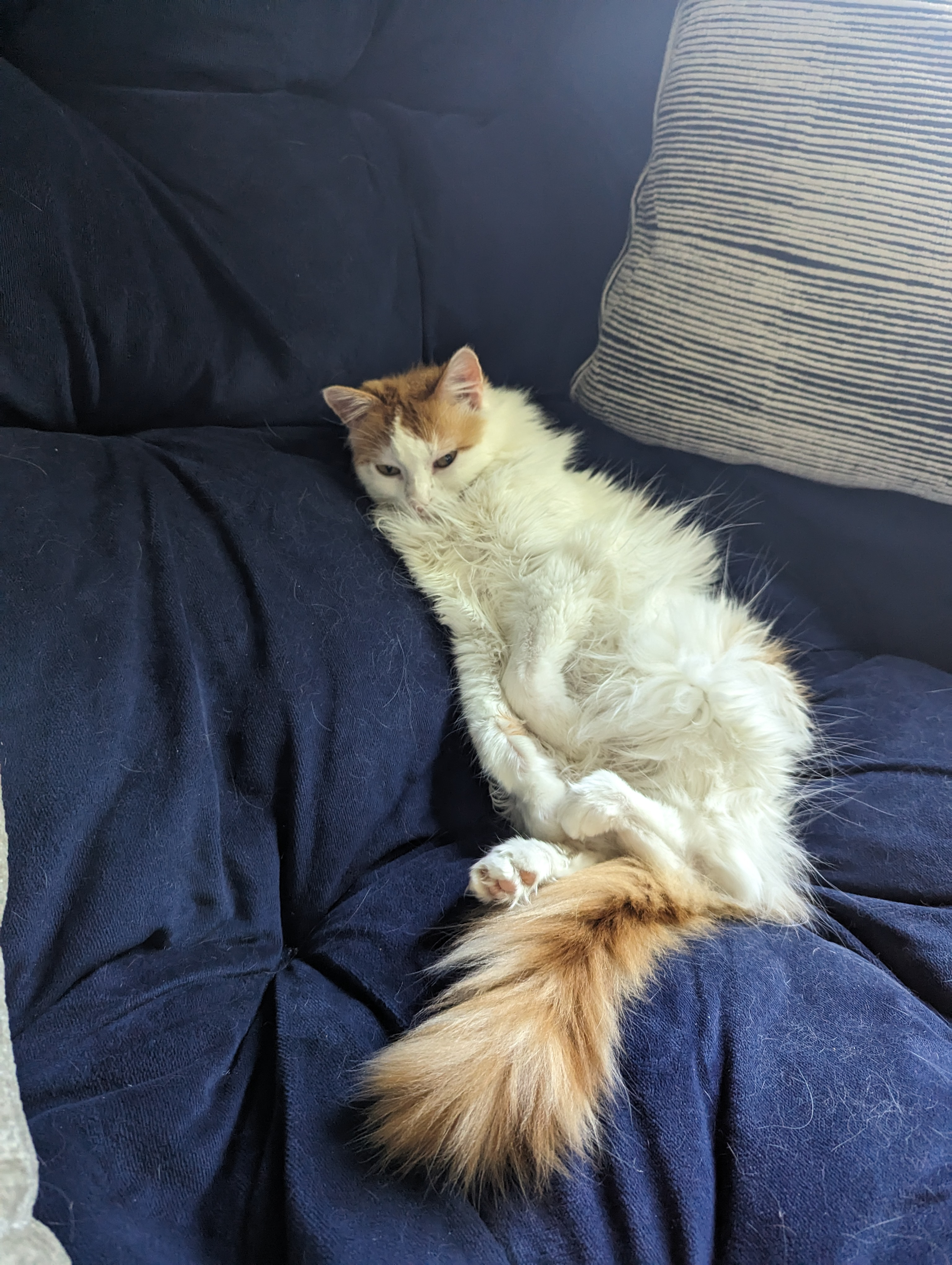 user avatar image for Styx