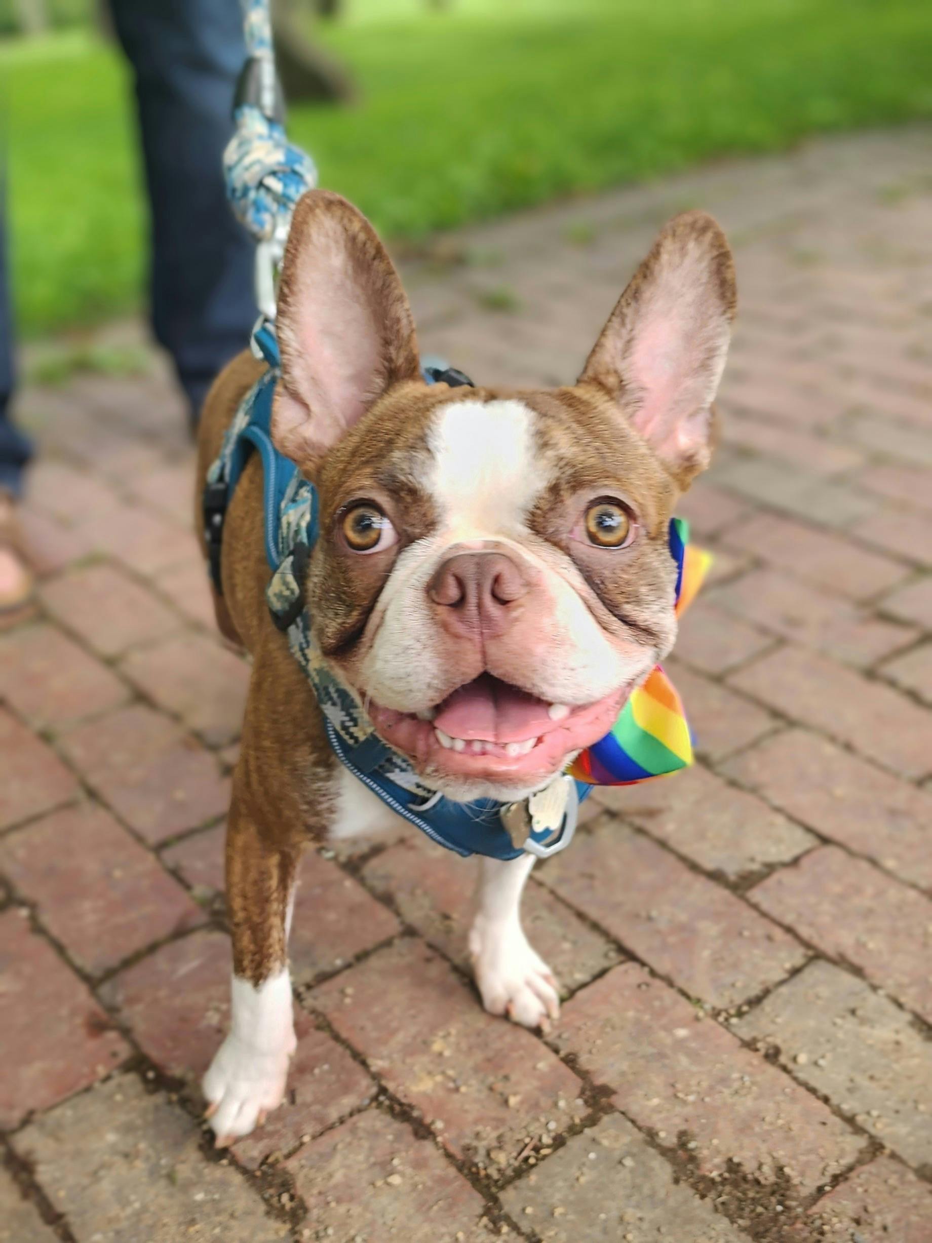 user avatar image for Aaron Kropf